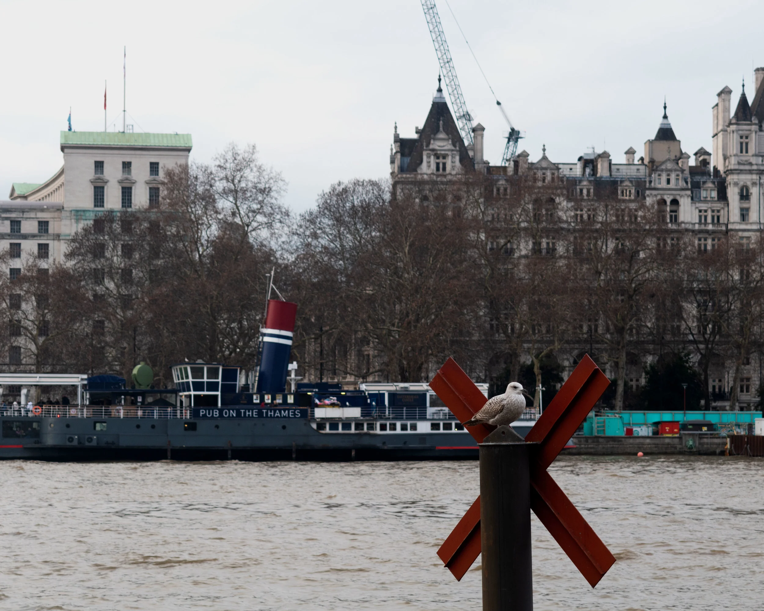 DSC_0051.jpg