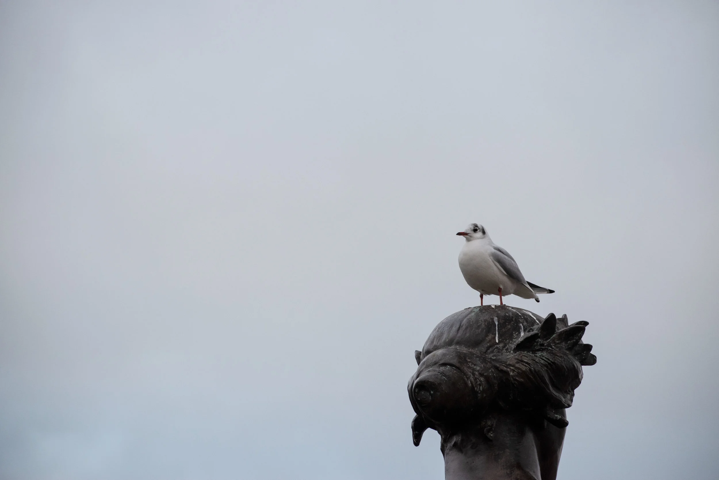 DSC_0114.jpg