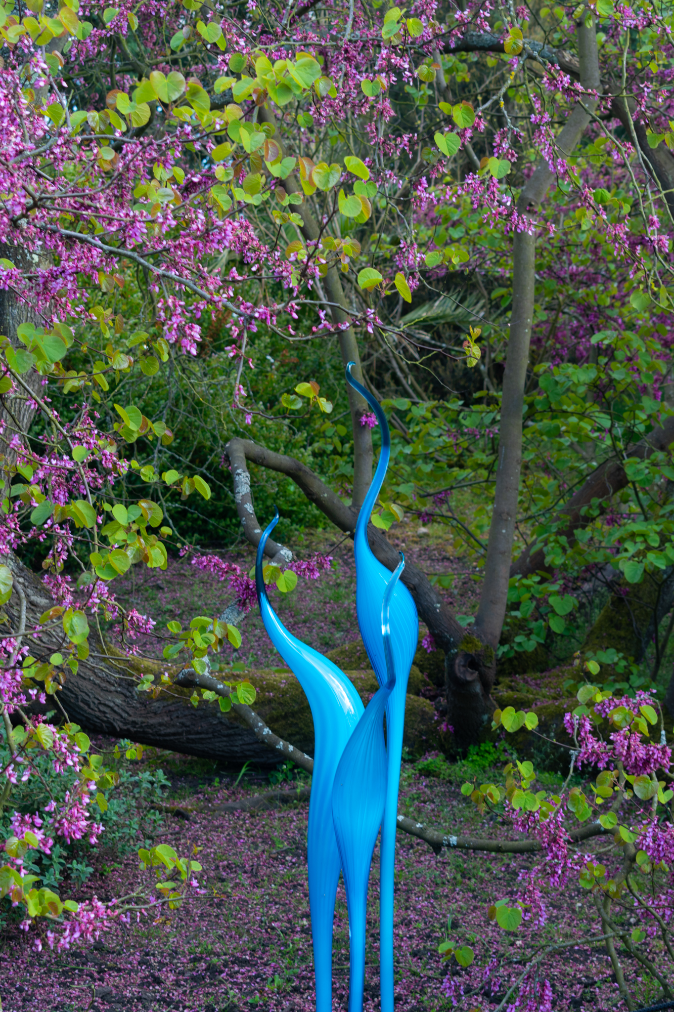DSC_0164.jpg
