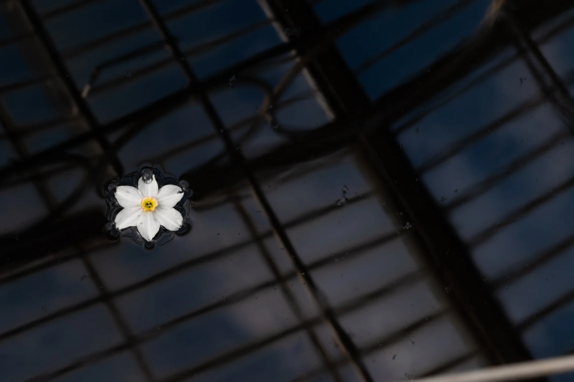 DSC_0119.jpg