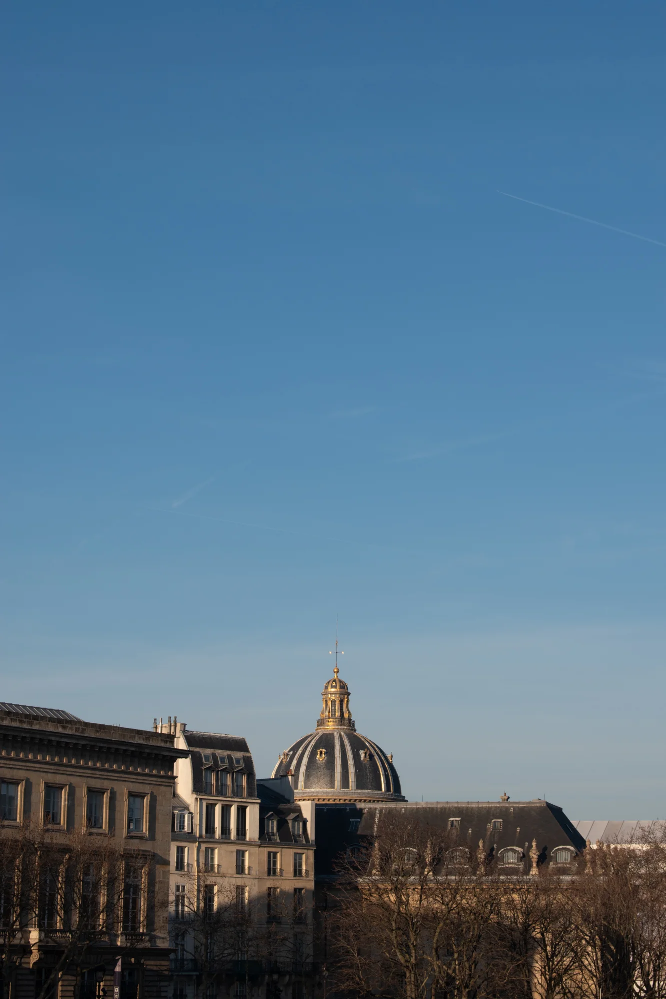 DSC_0340.jpg