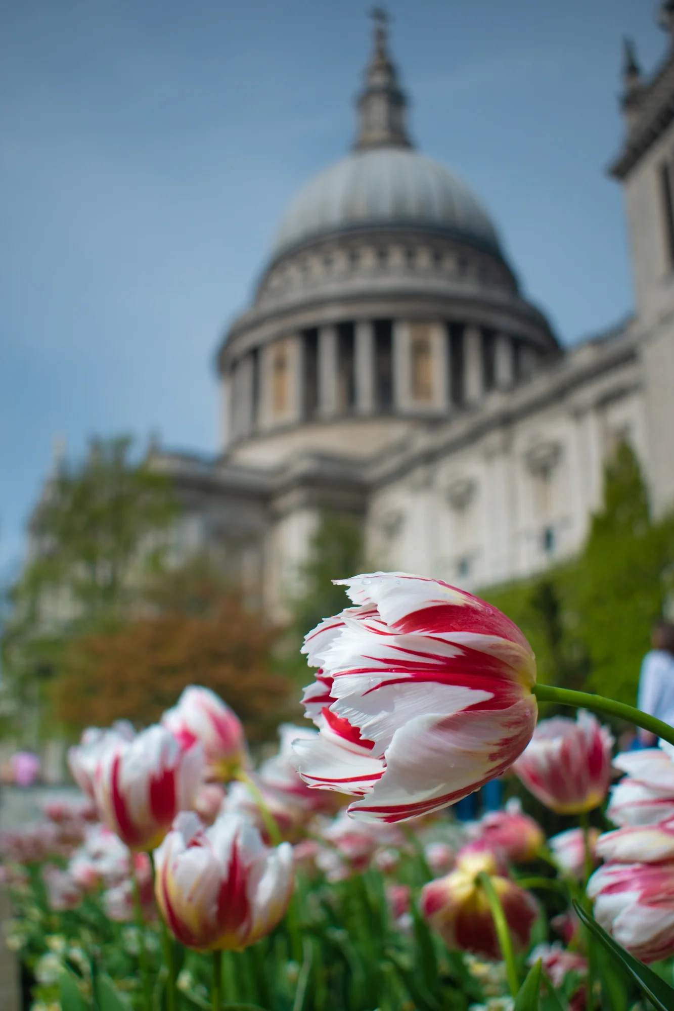 DSC_0224-2.jpg