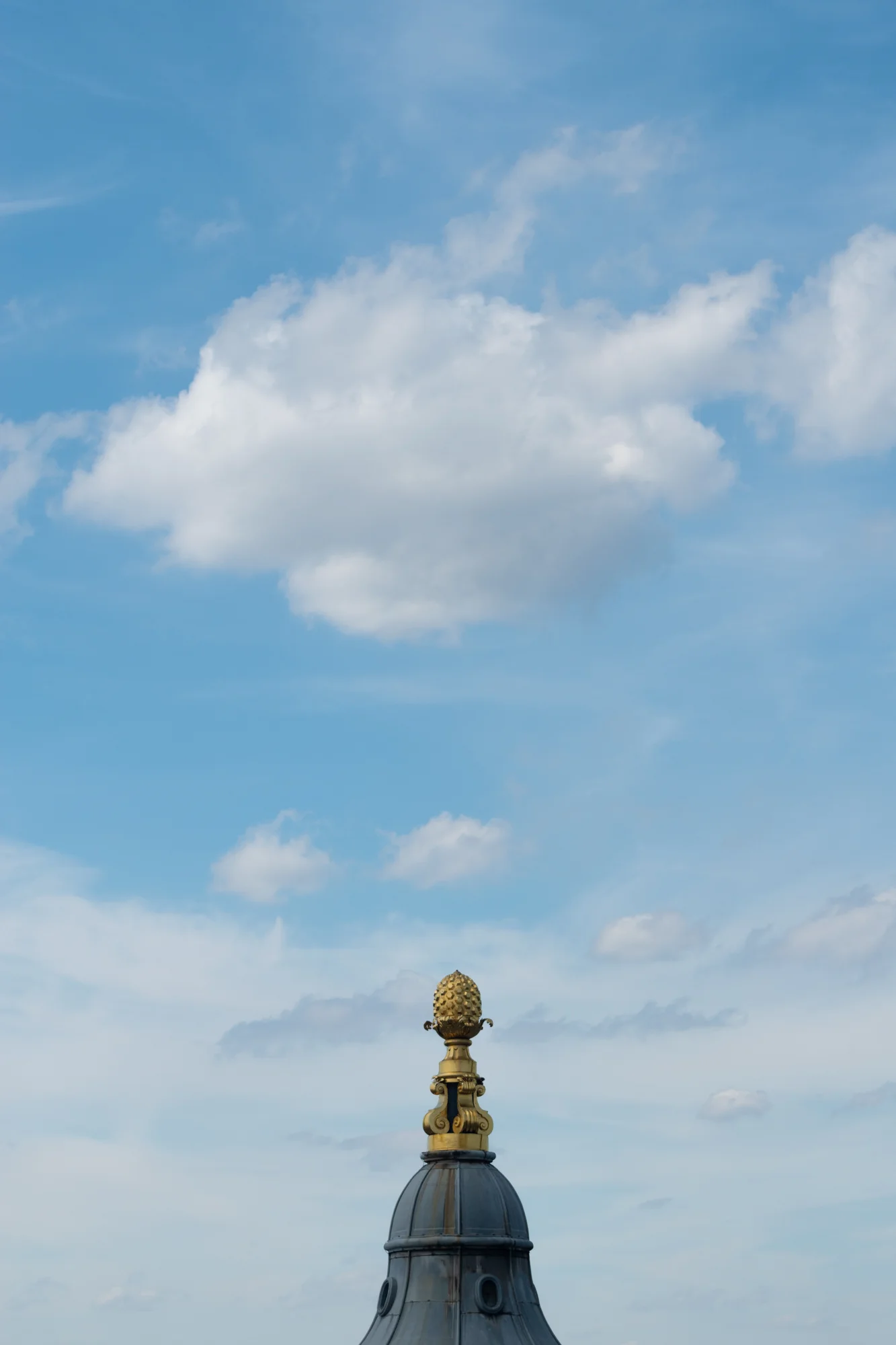 DSC_0204.jpg