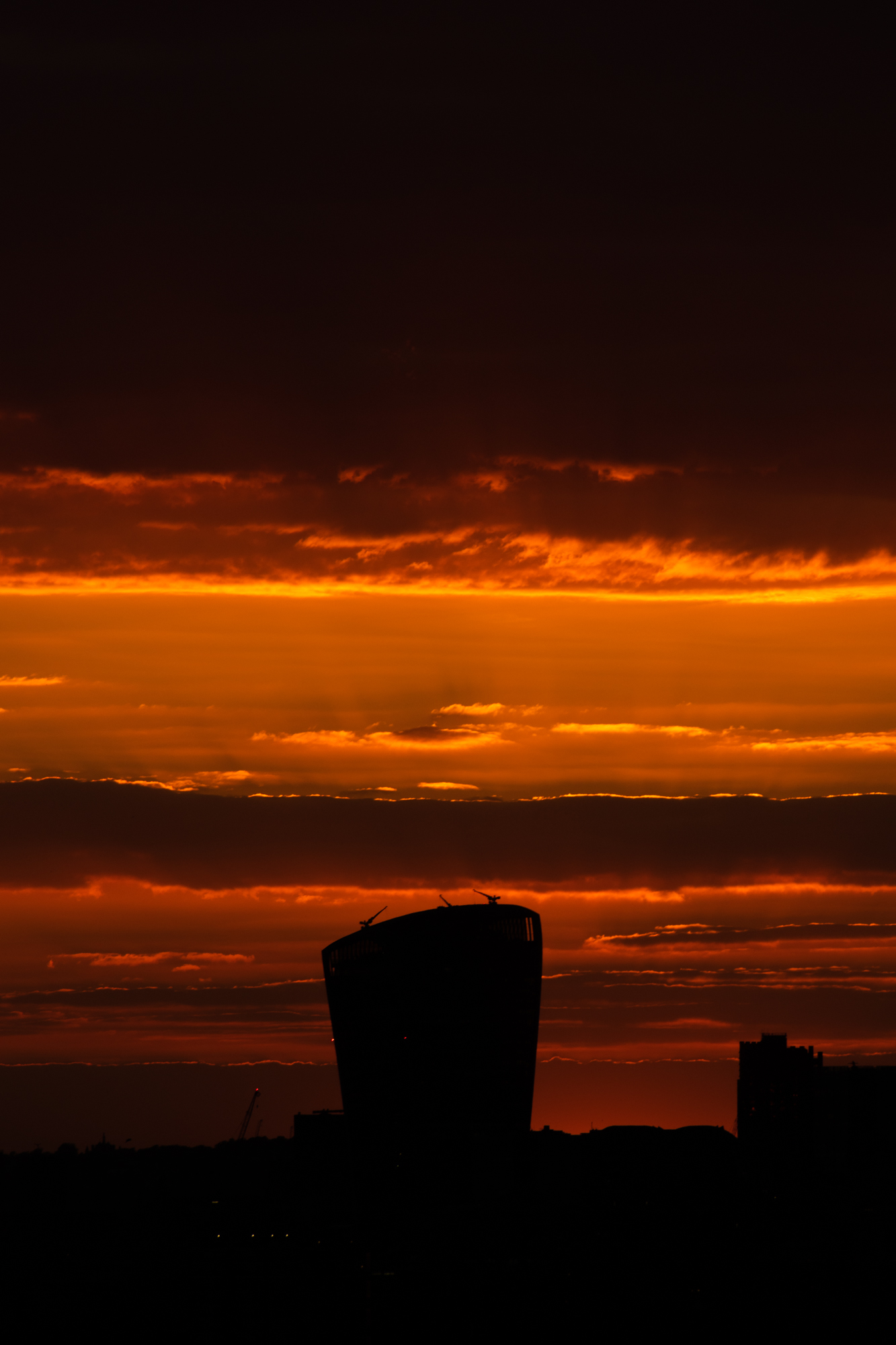 DSC_0808.jpg
