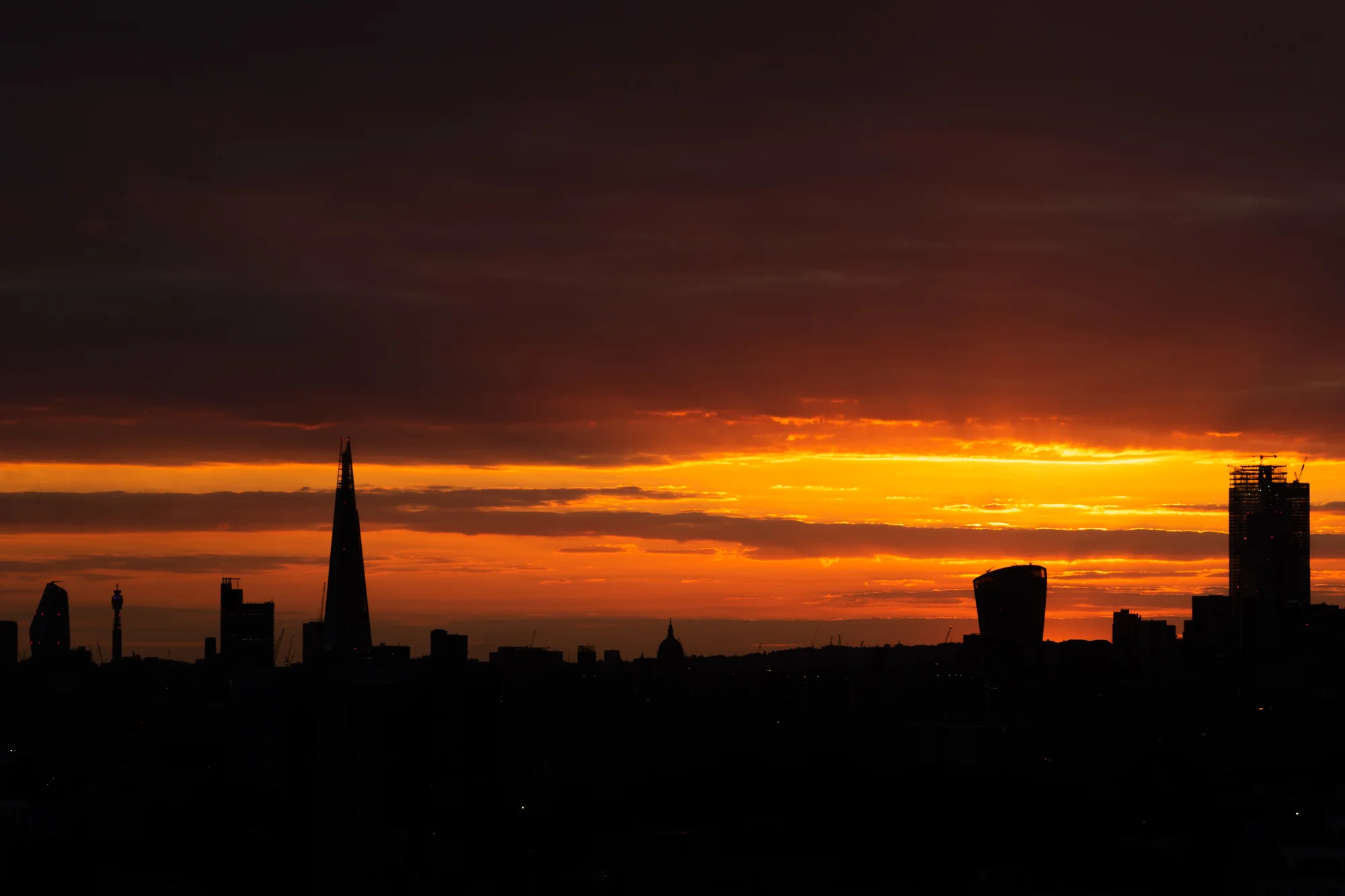 DSC_0803.jpg