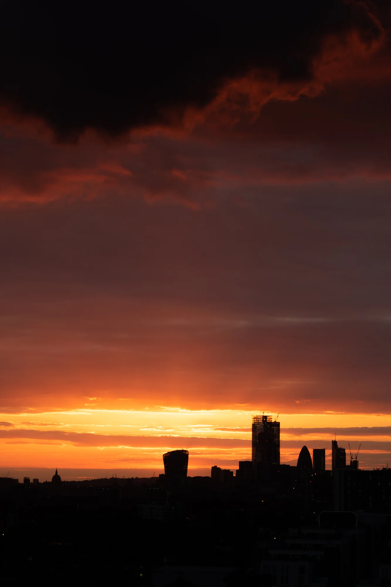 DSC_0794.jpg