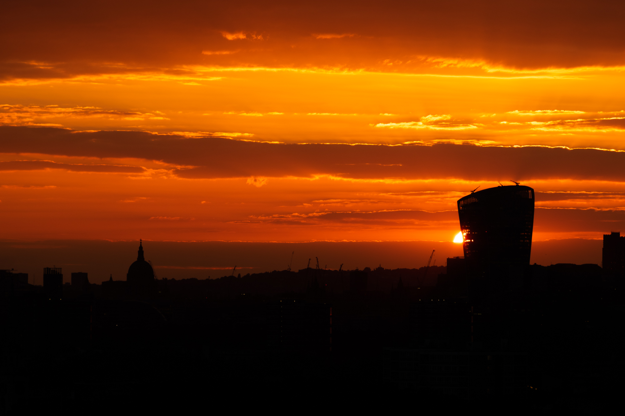 DSC_0788.jpg