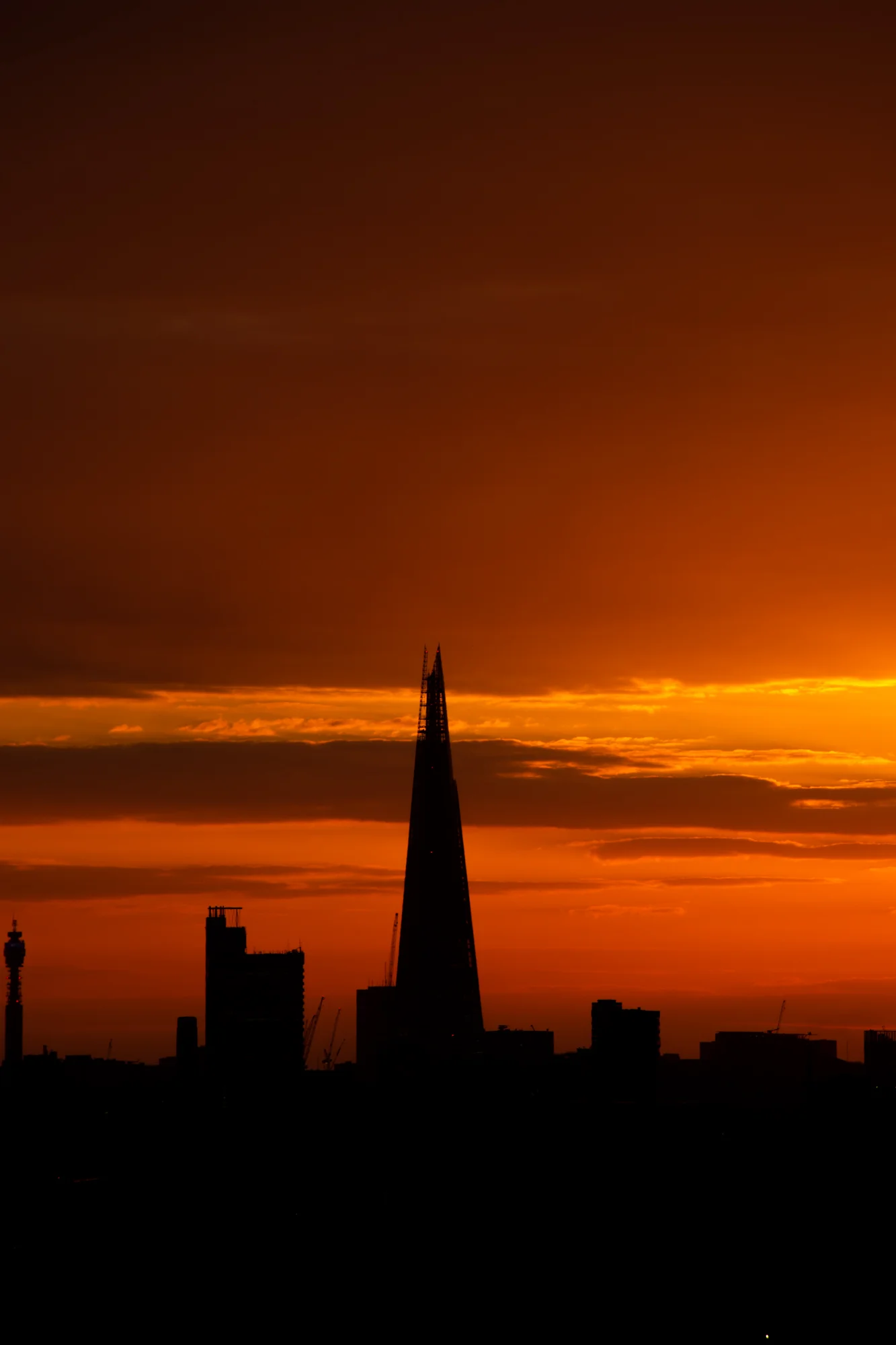 DSC_0766.jpg