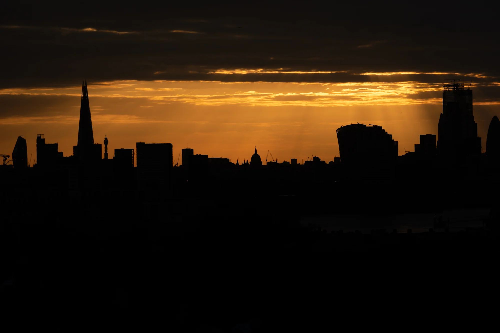 DSC_0723.jpg