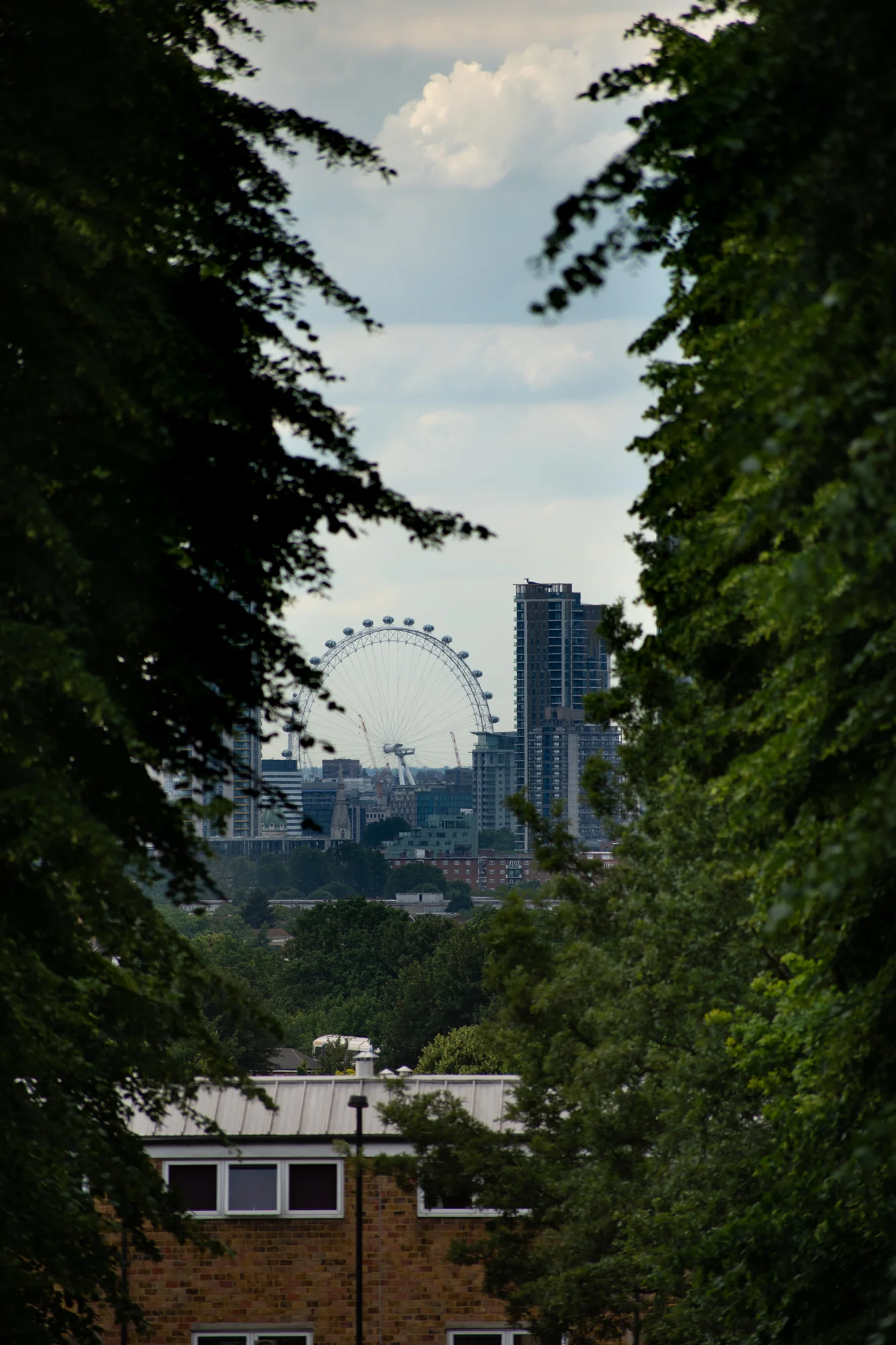 DSC_0676.jpg