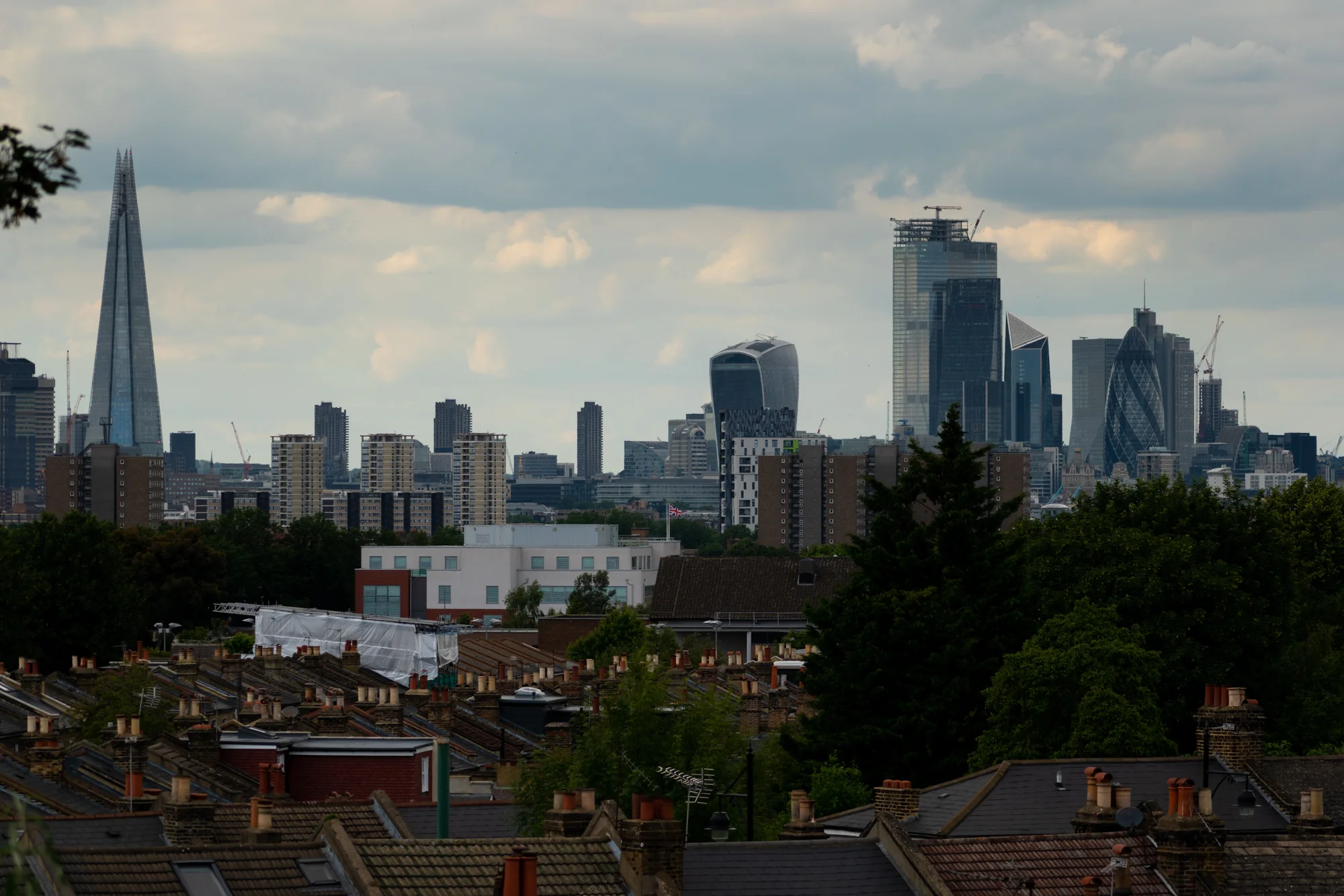 DSC_0666.jpg