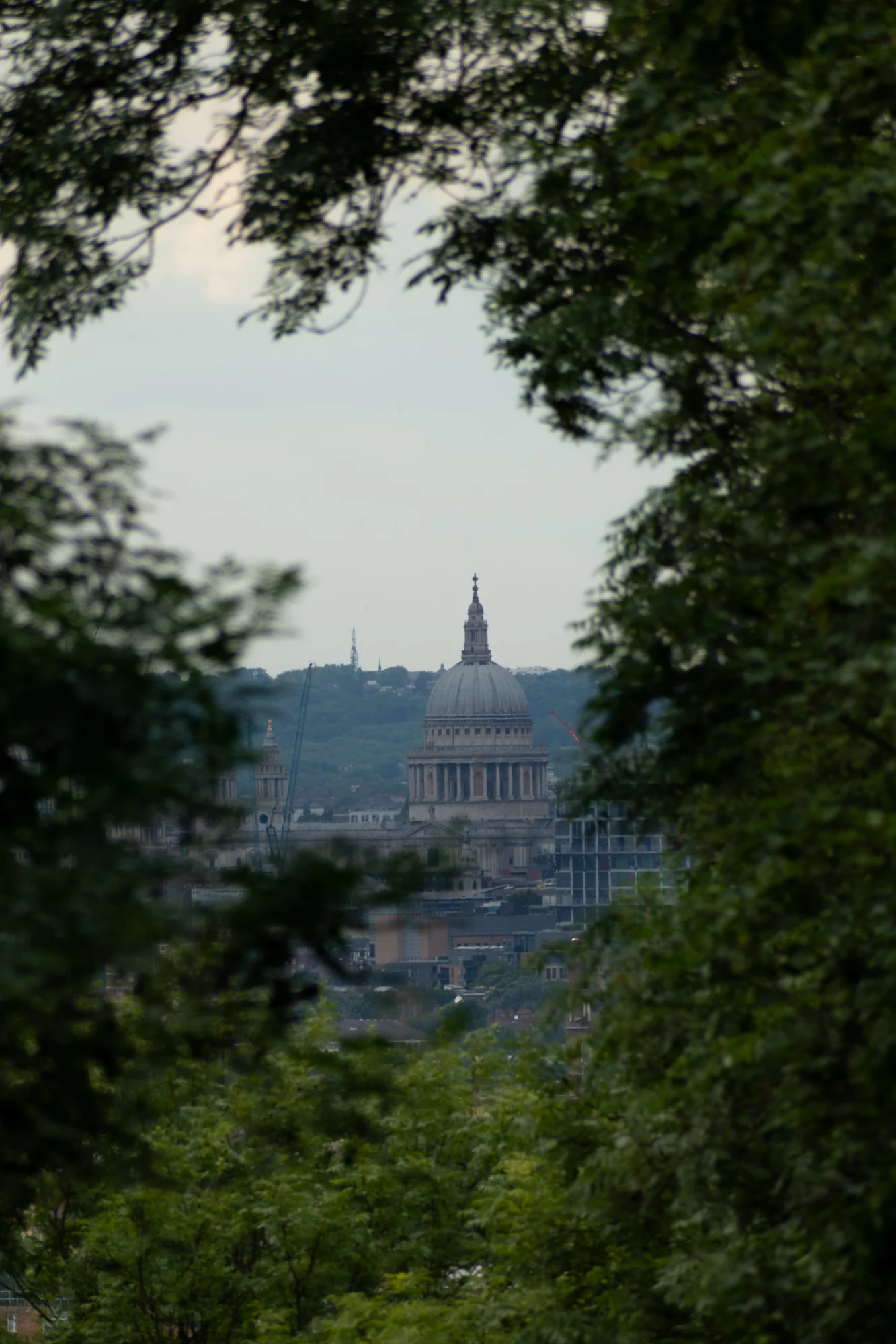DSC_0684.jpg