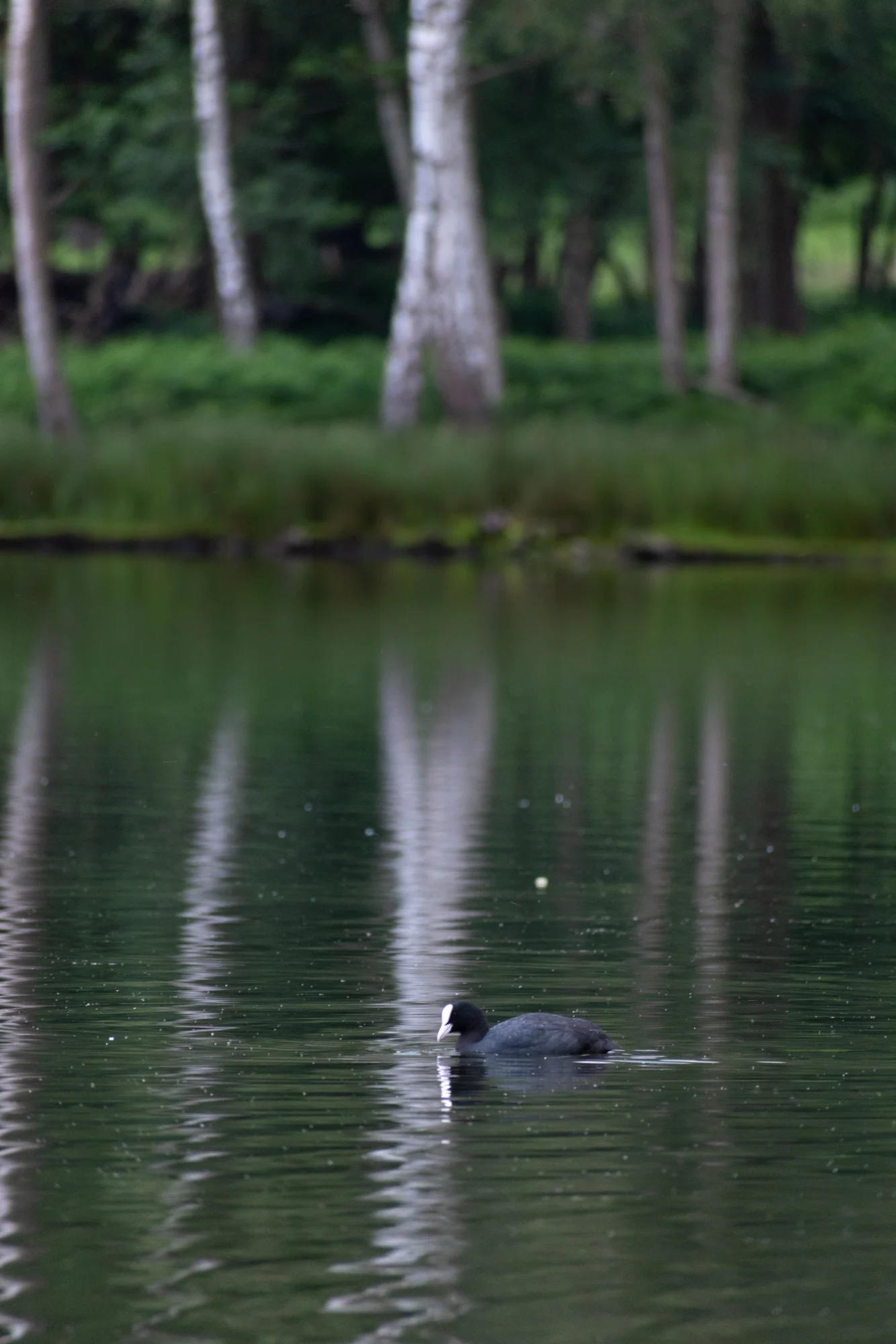 DSC_0579.jpg