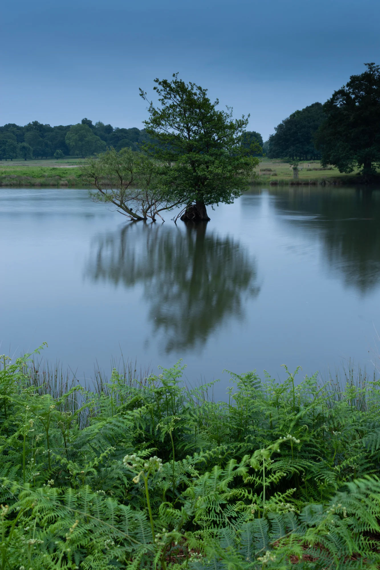 DSC_0662.jpg