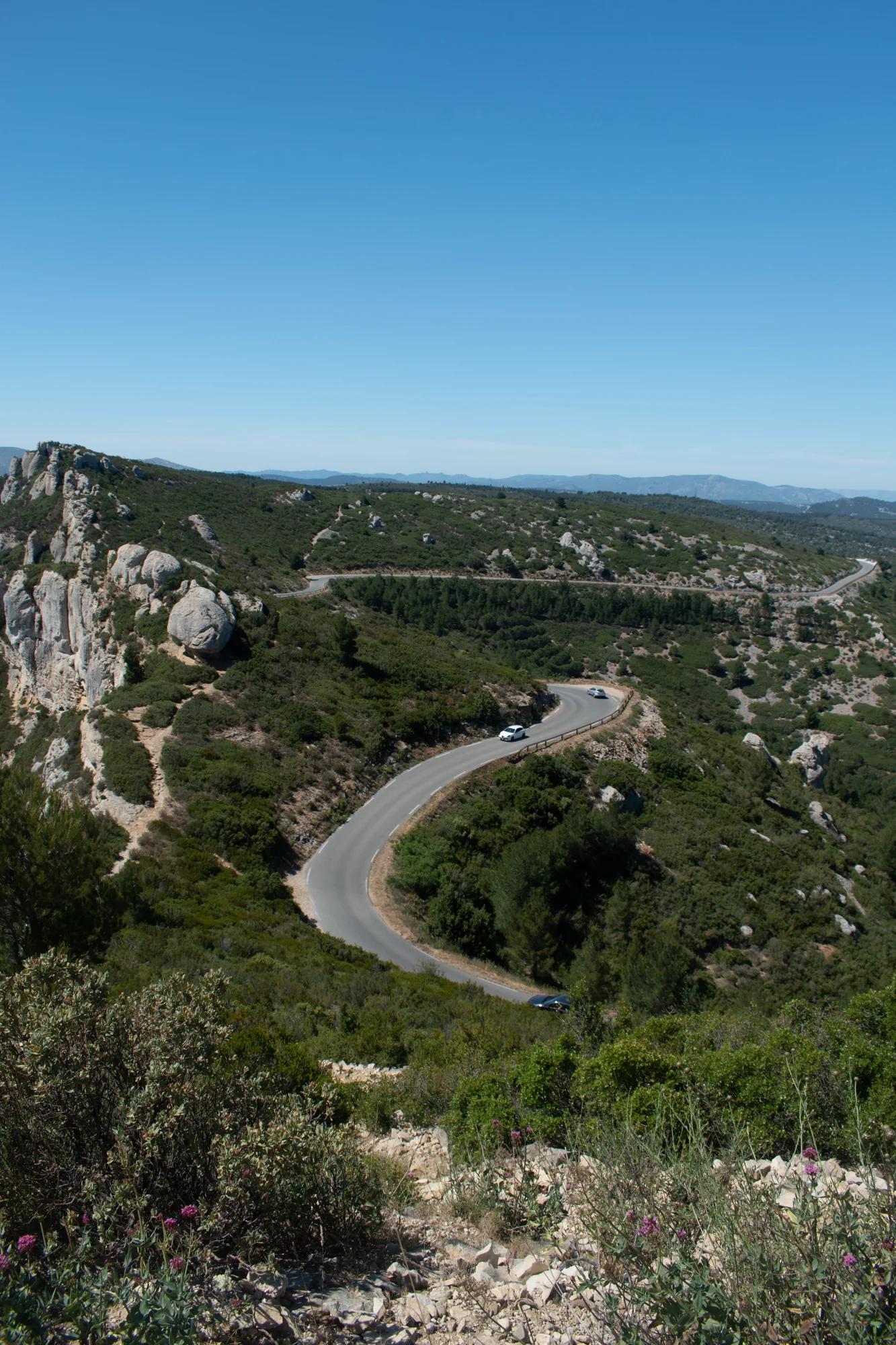 DSC_0386.jpg