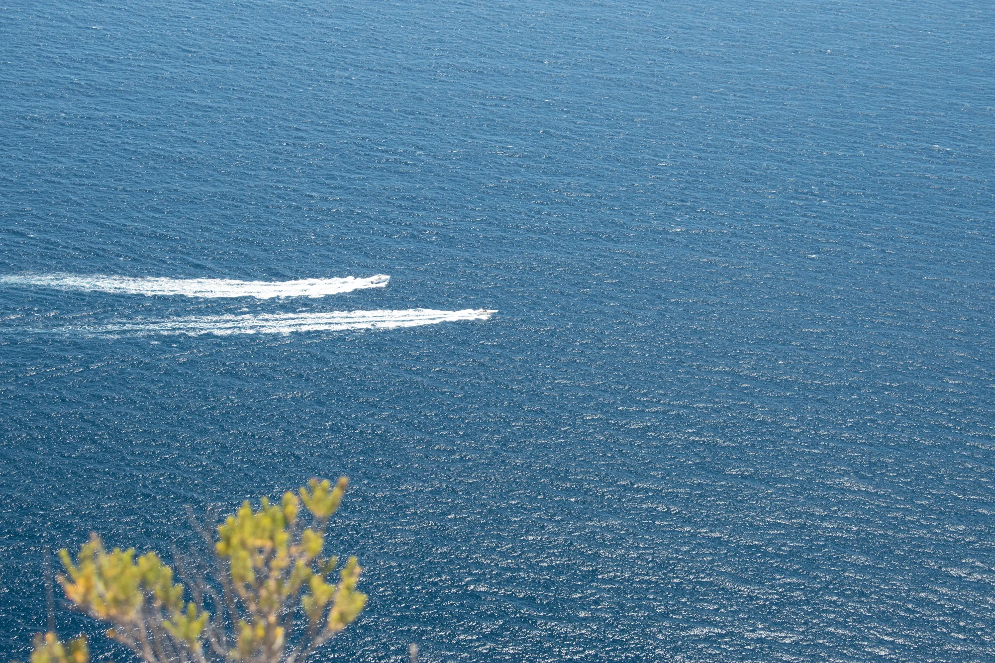 DSC_0395.jpg