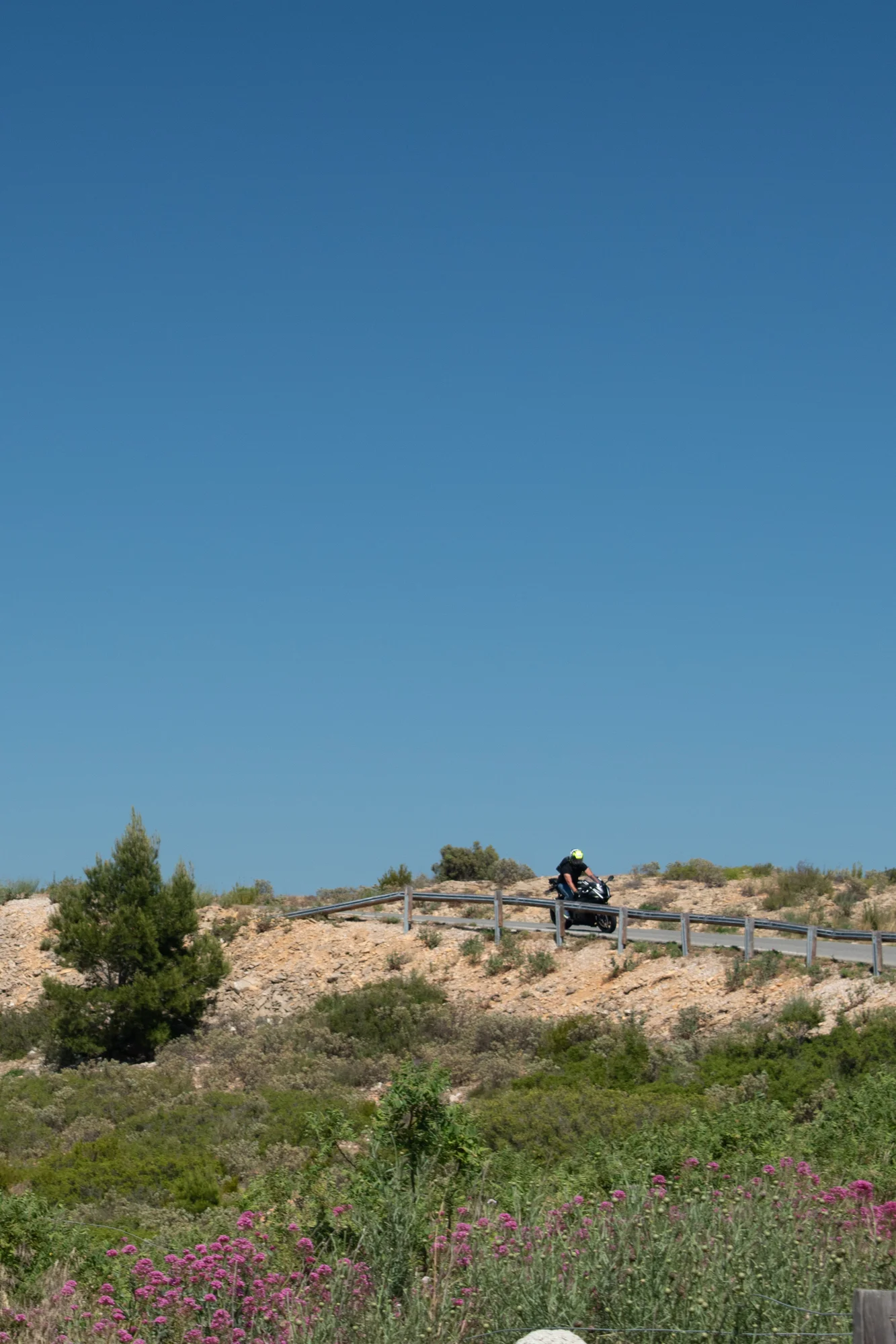 DSC_0424.jpg