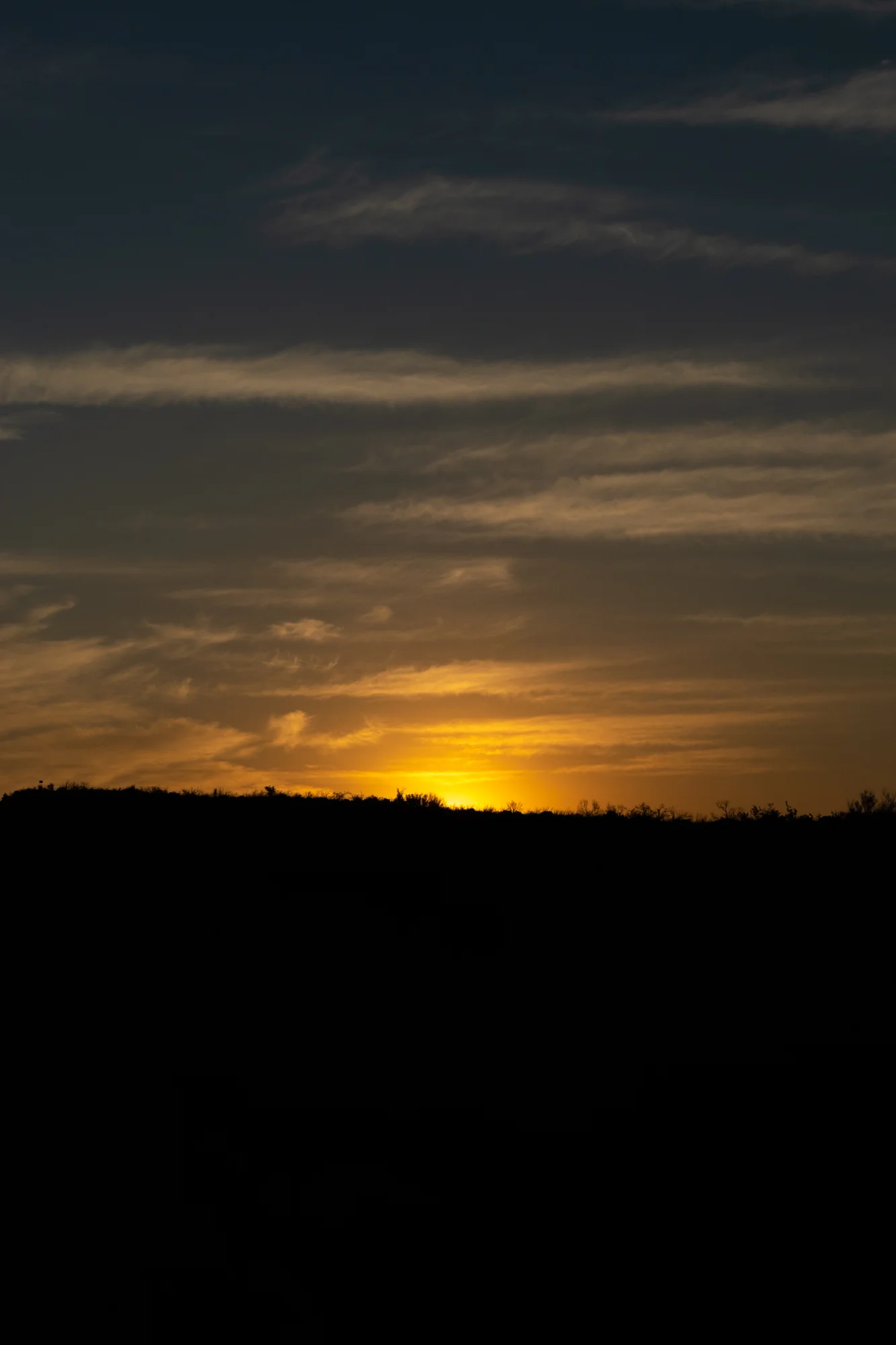 DSC_0003.jpg