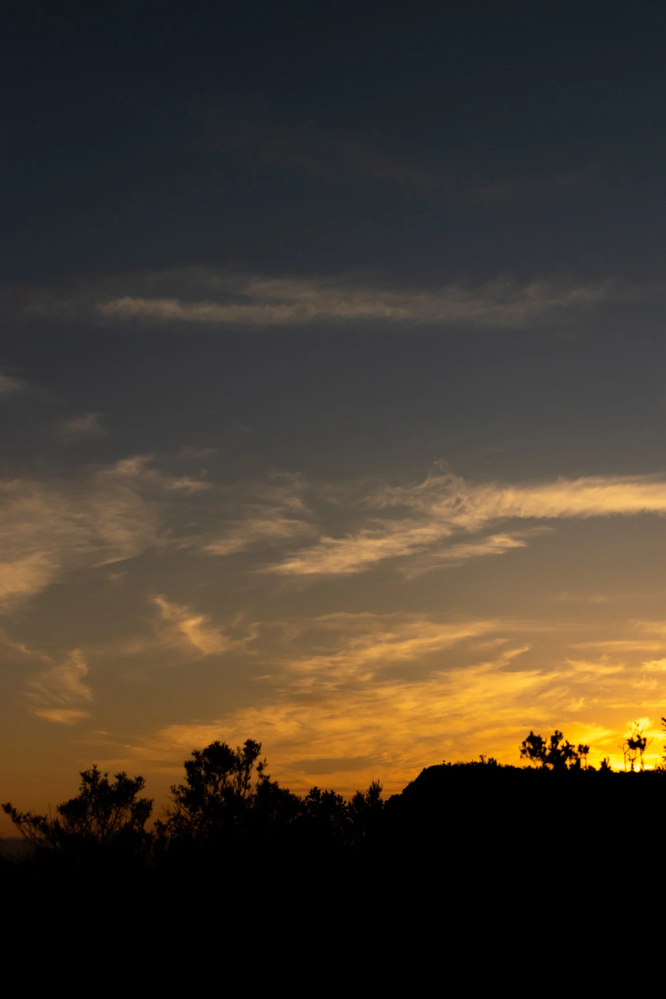 DSC_0016.jpg