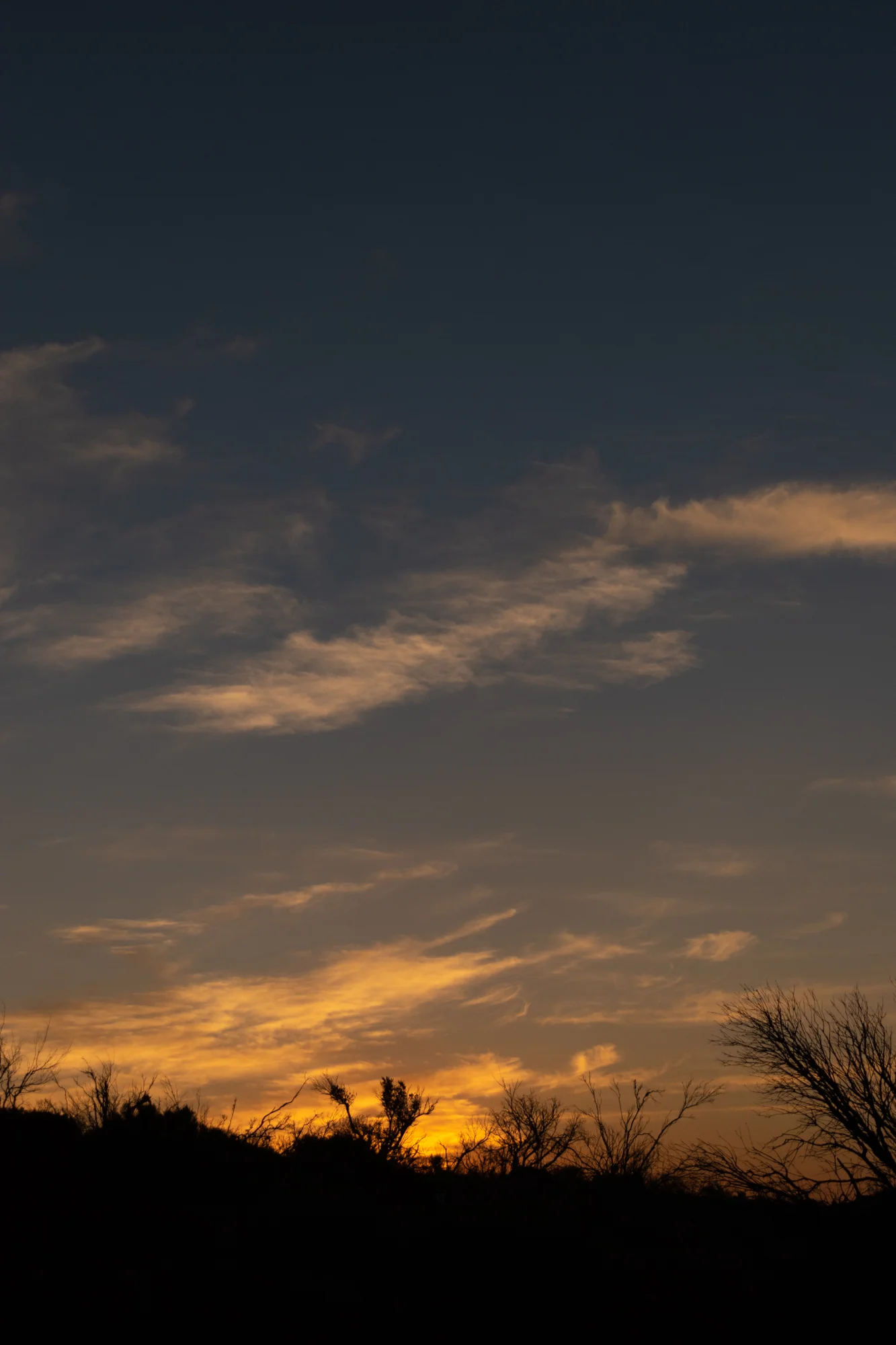 DSC_0027.jpg