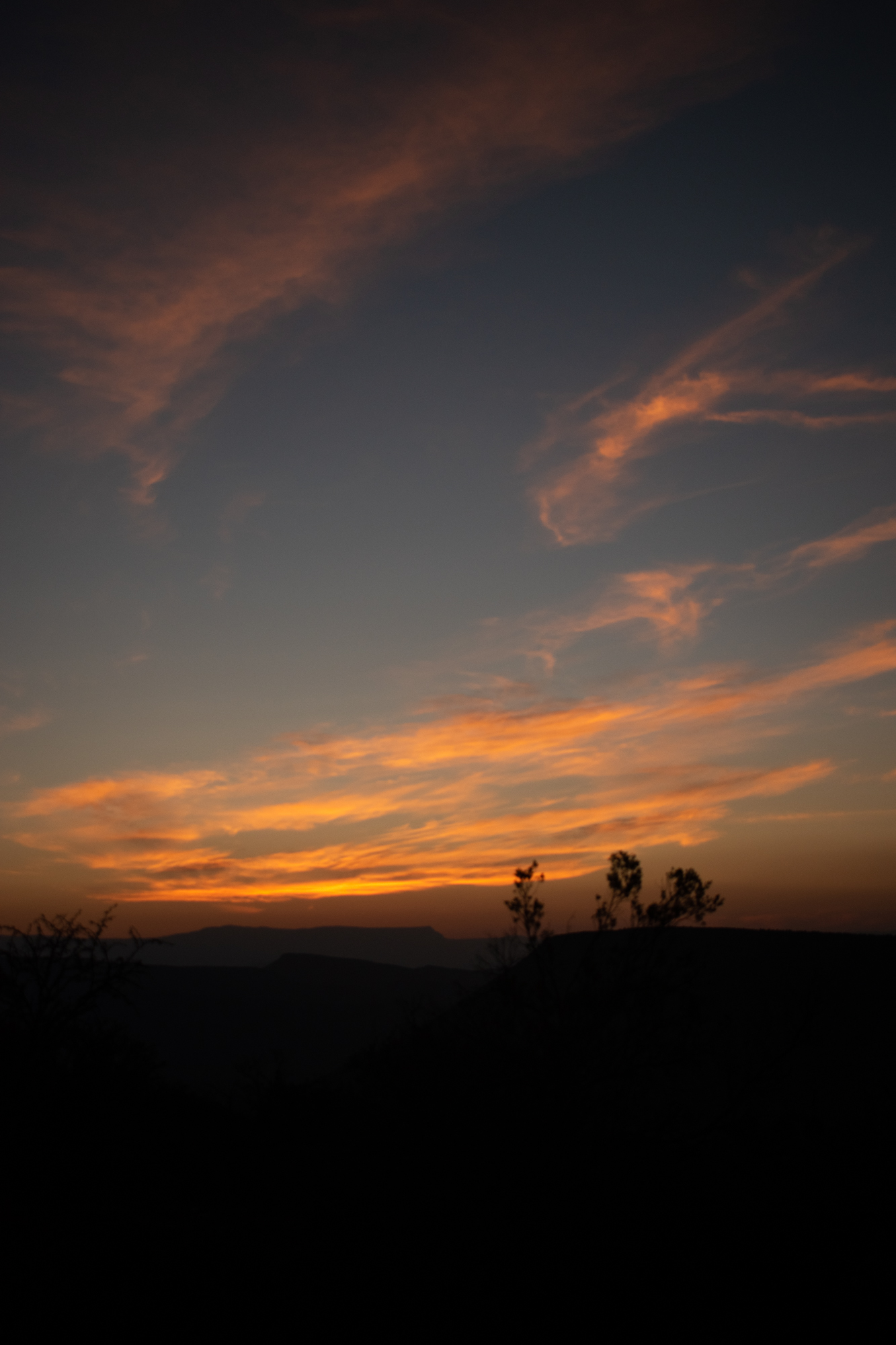 DSC_0036.jpg