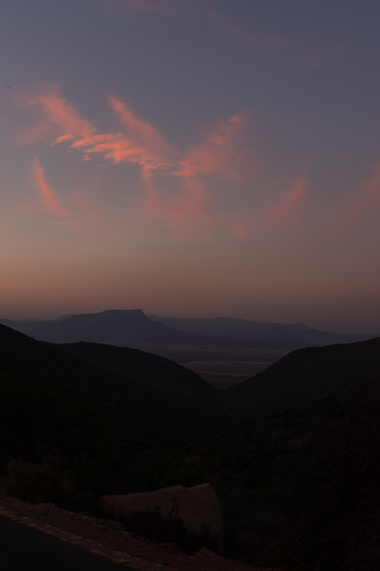 DSC_0049.jpg