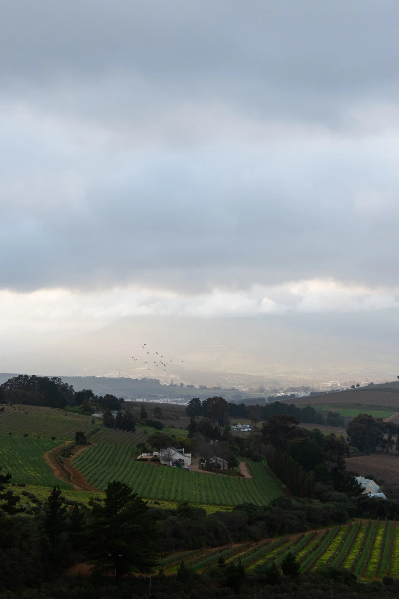 DSC_0125.jpg