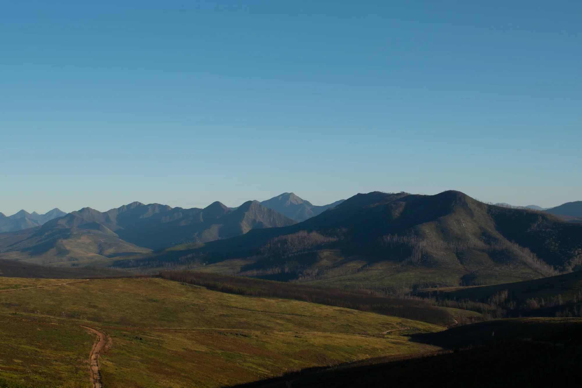 DSC_0137.jpg