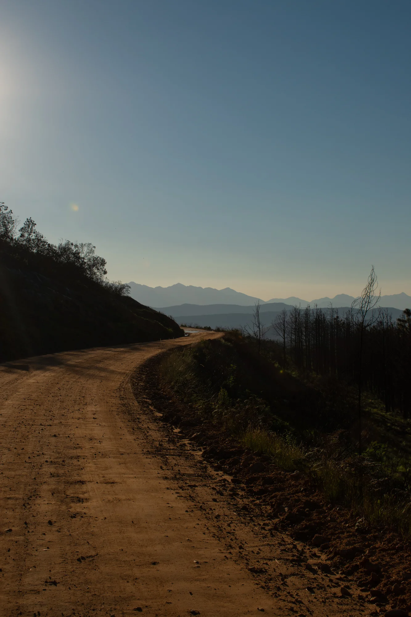 DSC_0156.jpg