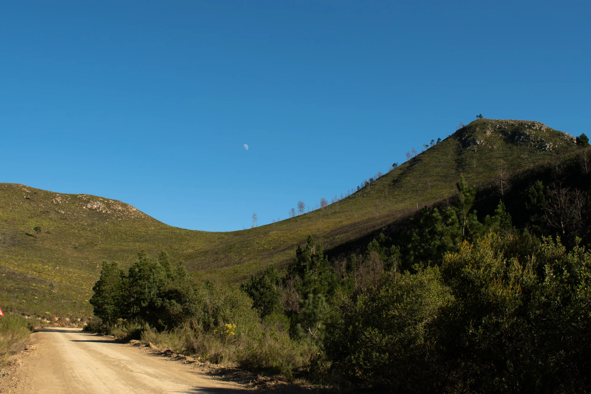 DSC_0165.jpg