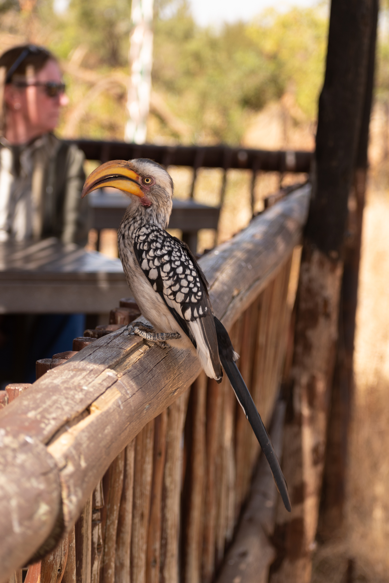 DSC_0398.jpg
