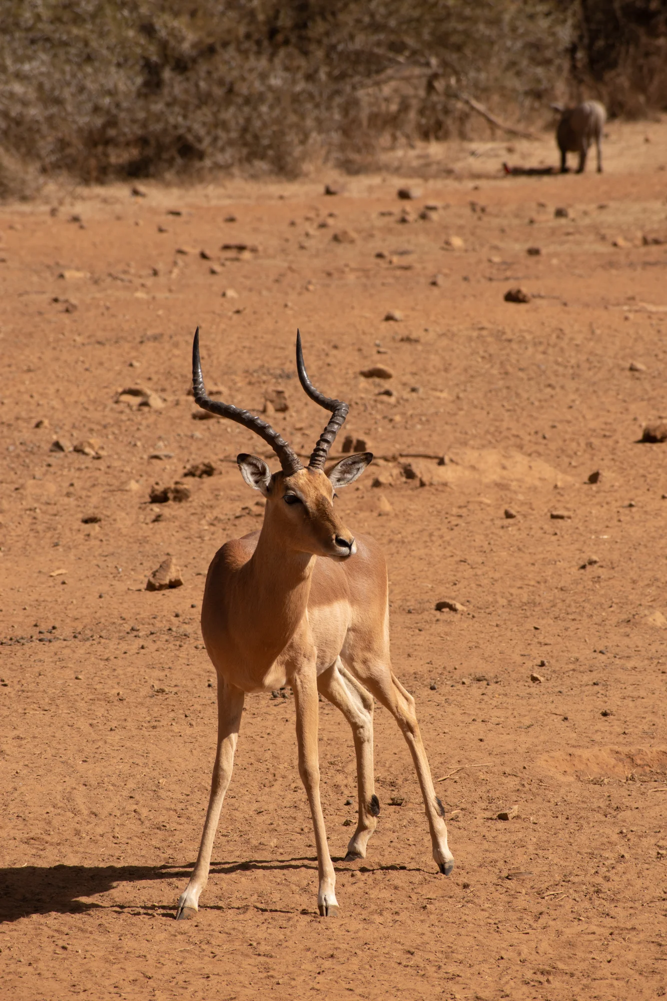 DSC_0458.jpg