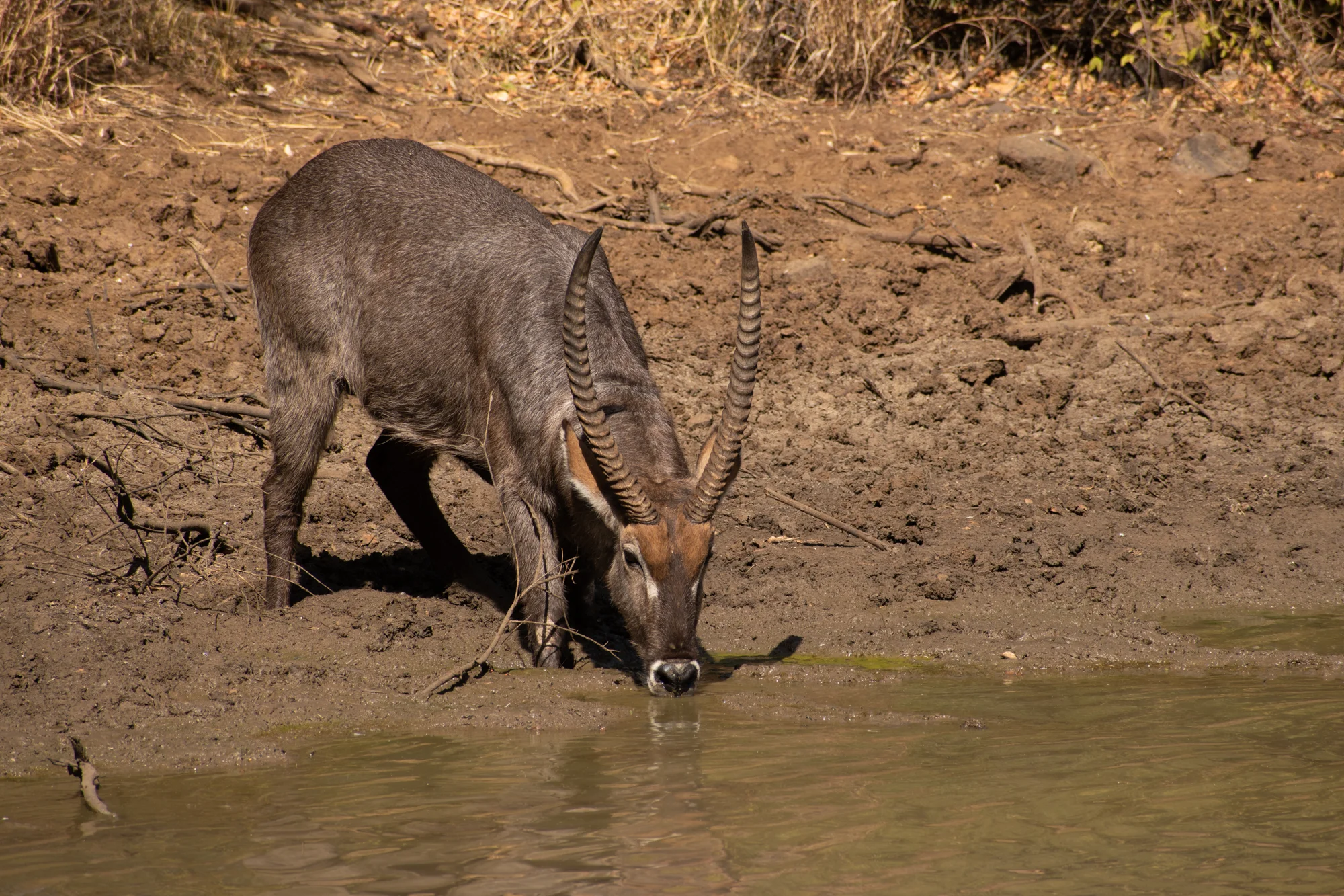 DSC_0572.jpg