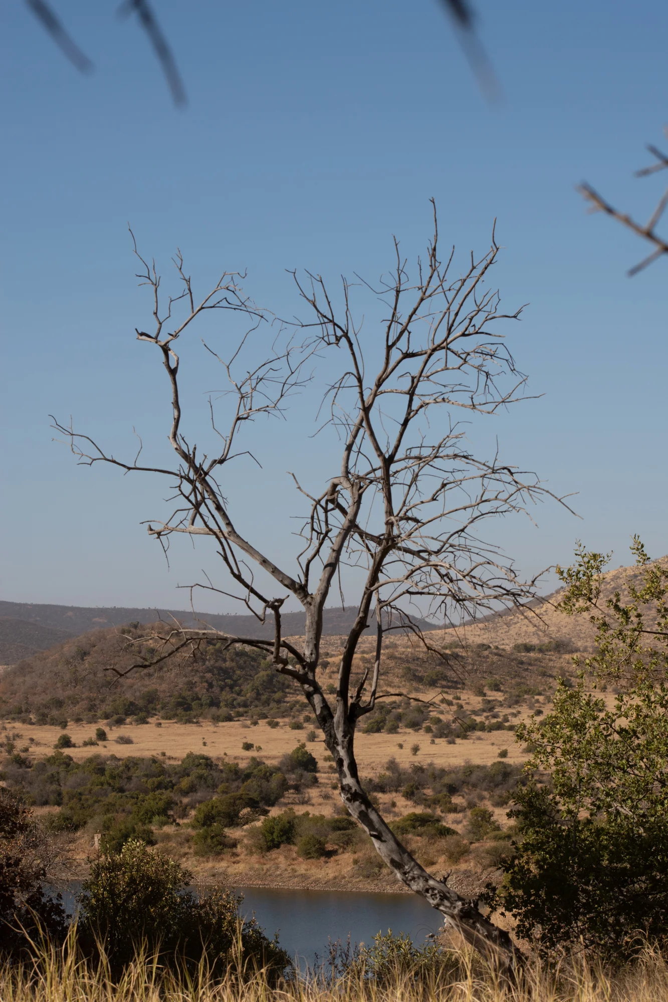 DSC_0632.jpg