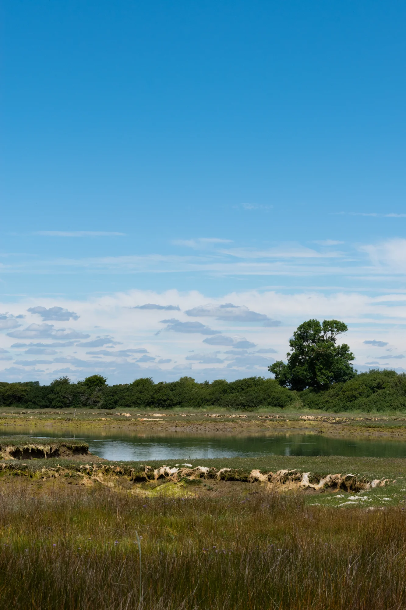 20190706-Isle of Wight067.jpg