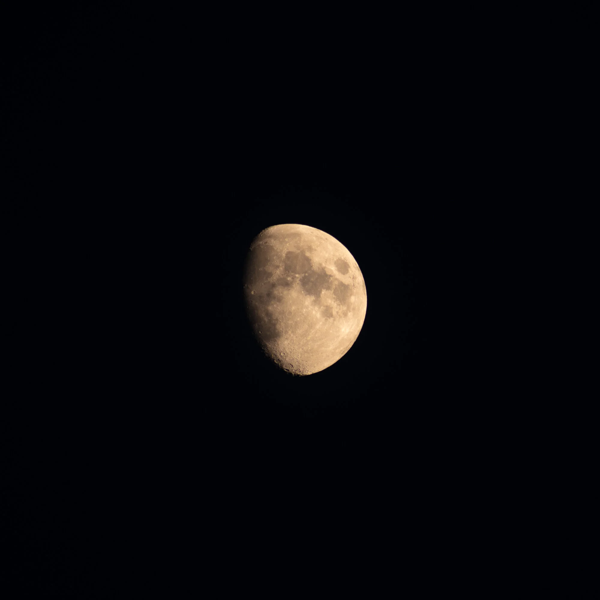 20190810-untitled shoot331.jpg