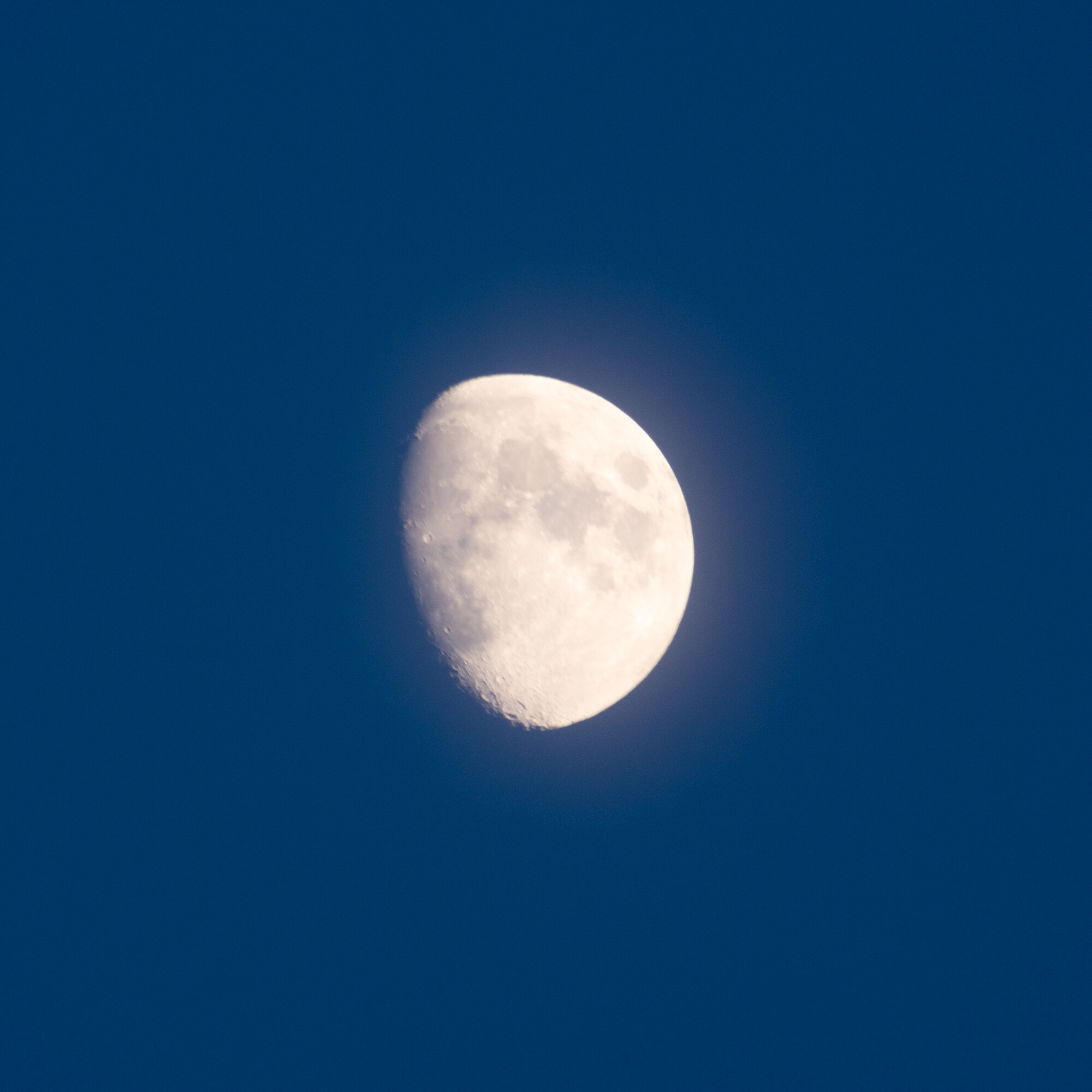 20190810-untitled shoot324.jpg