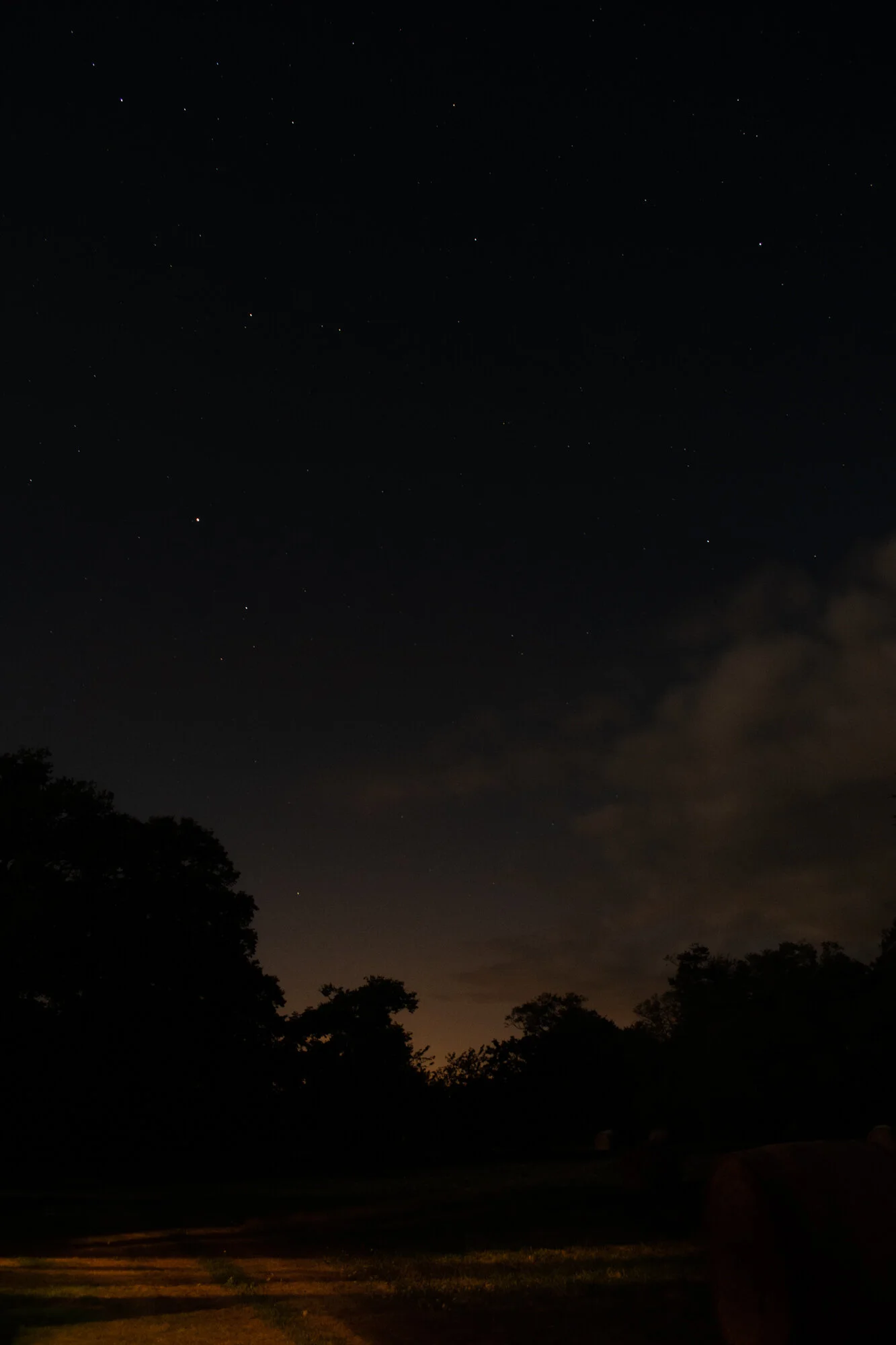 20190812-untitled shoot381.jpg