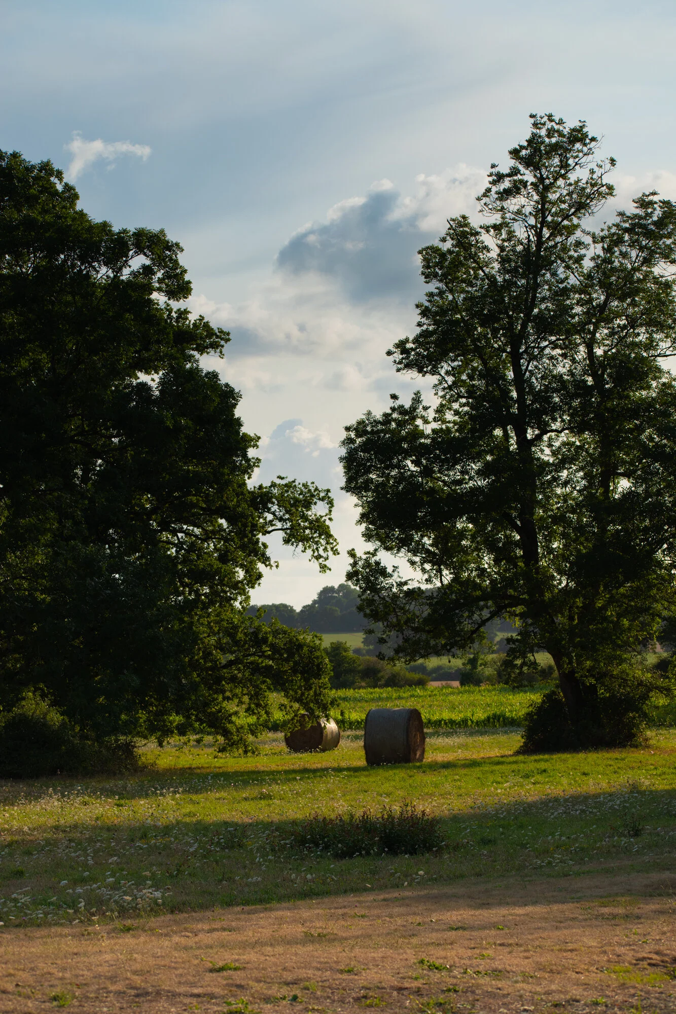 20190811-untitled shoot332.jpg