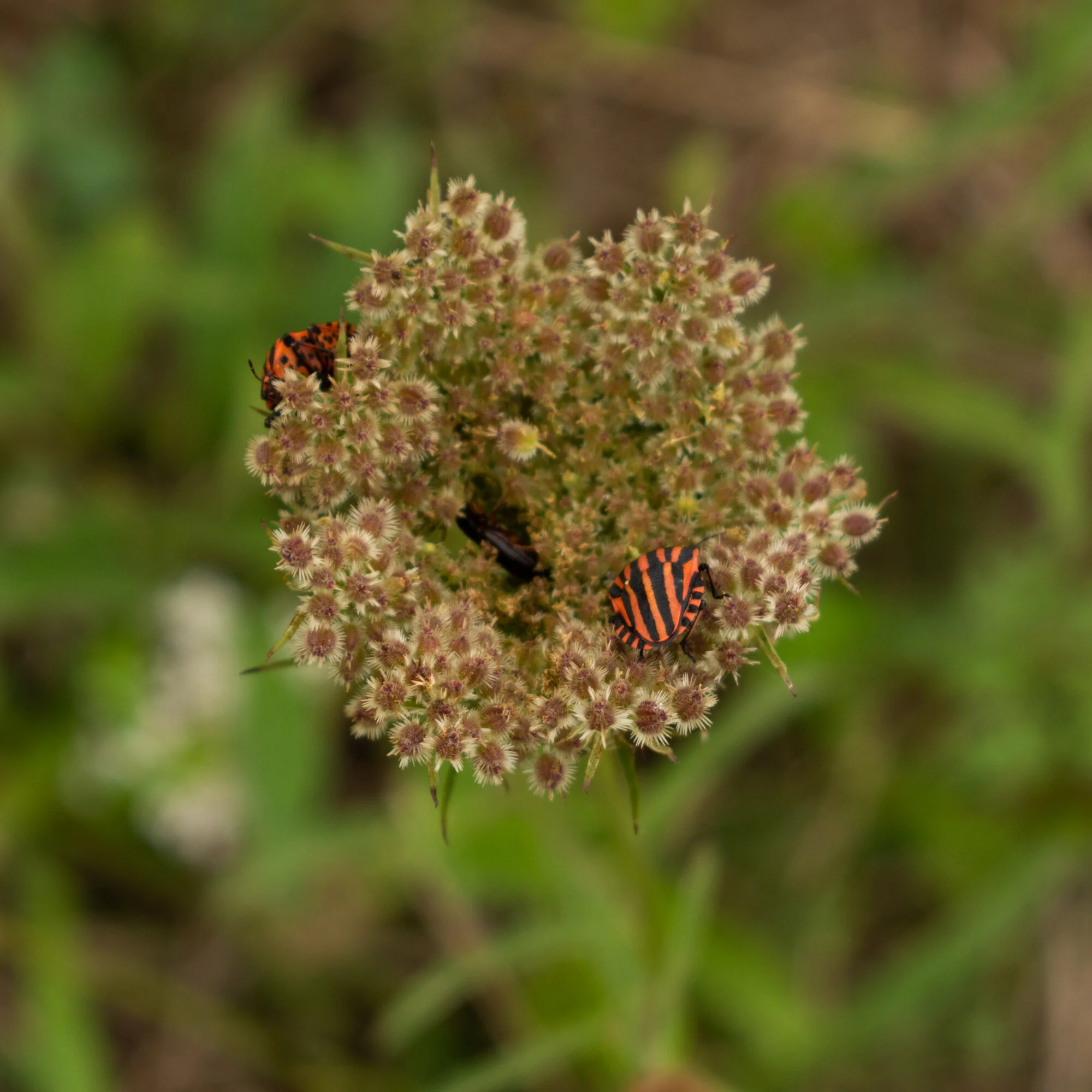 20190816-untitled shoot400.jpg