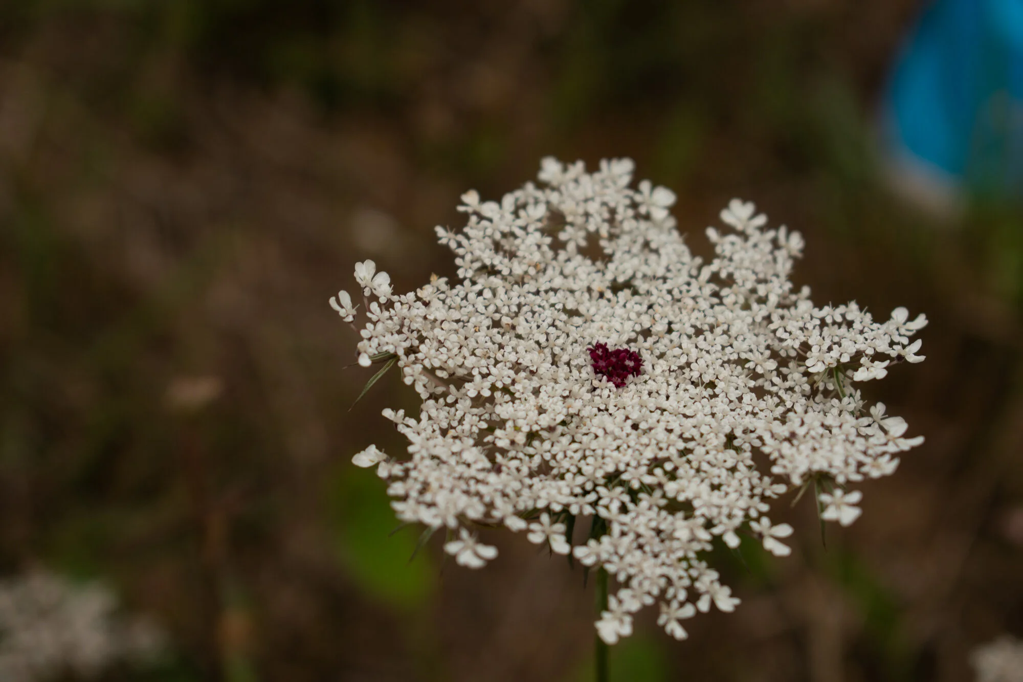 20190816-untitled shoot404.jpg