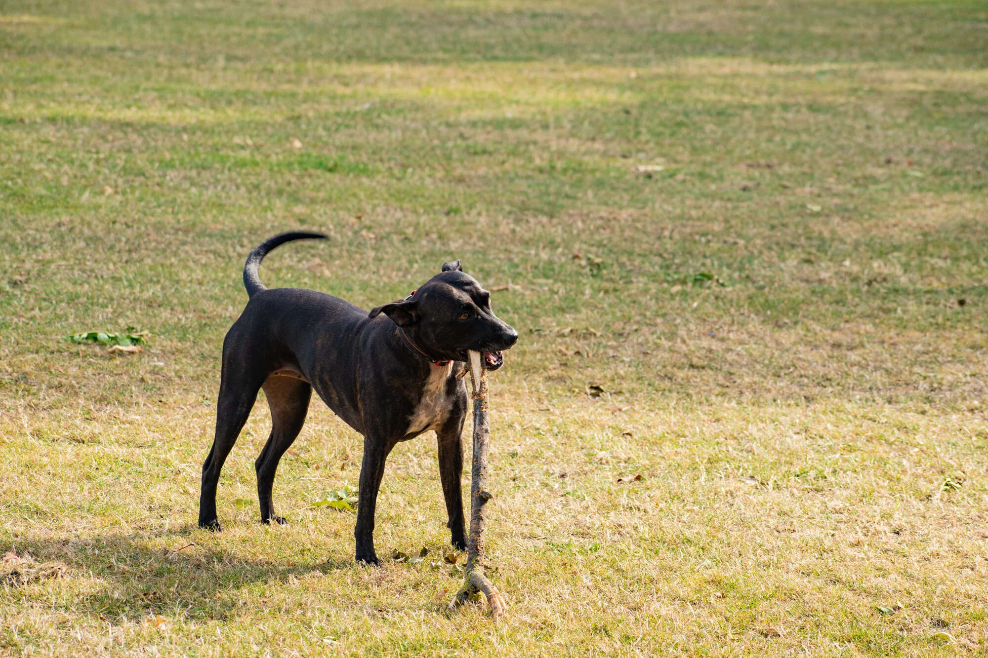 20190831-Exploring South London472.jpg
