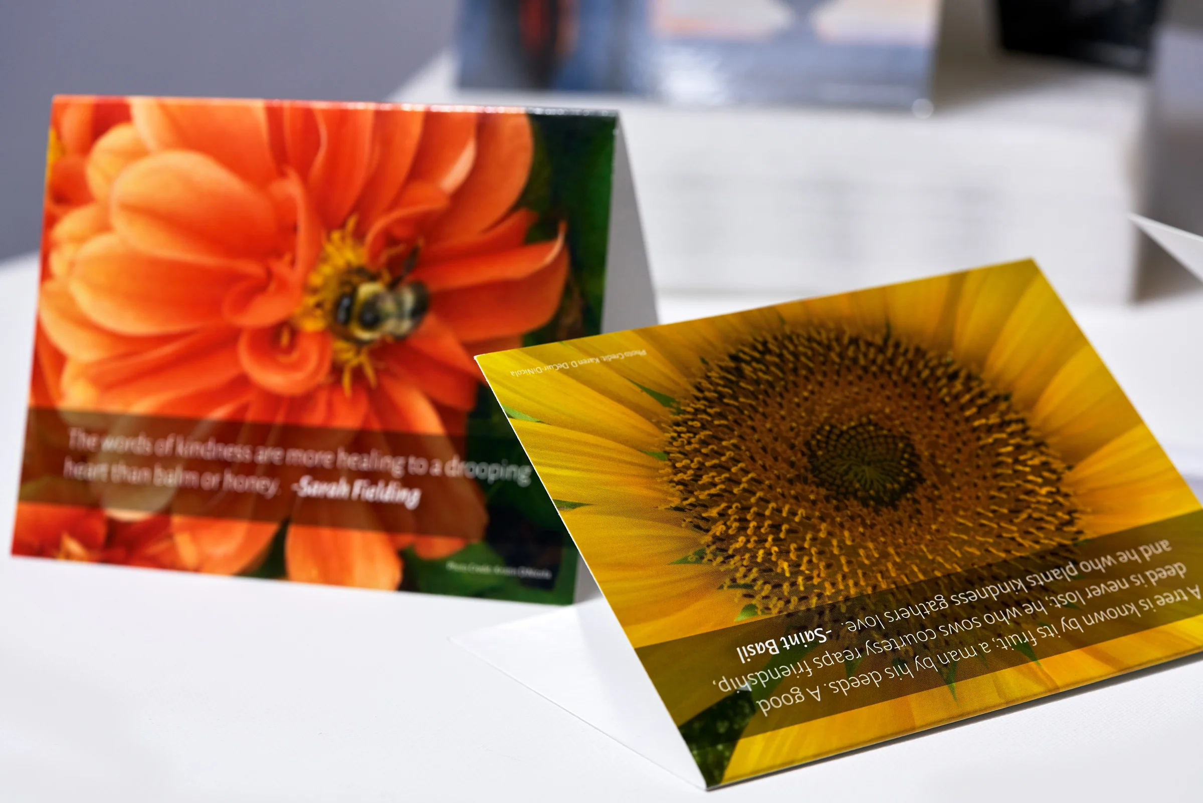 CARDS-(2018)-waitwell-MM_05071.jpg