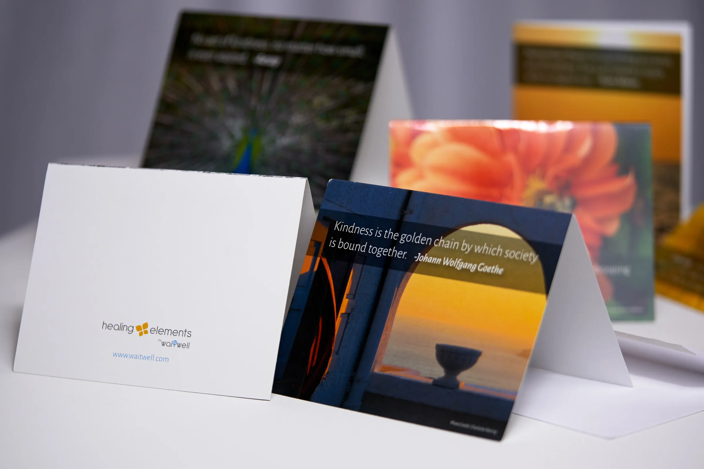 CARDS-(2018)-waitwell-MM_05096.jpg