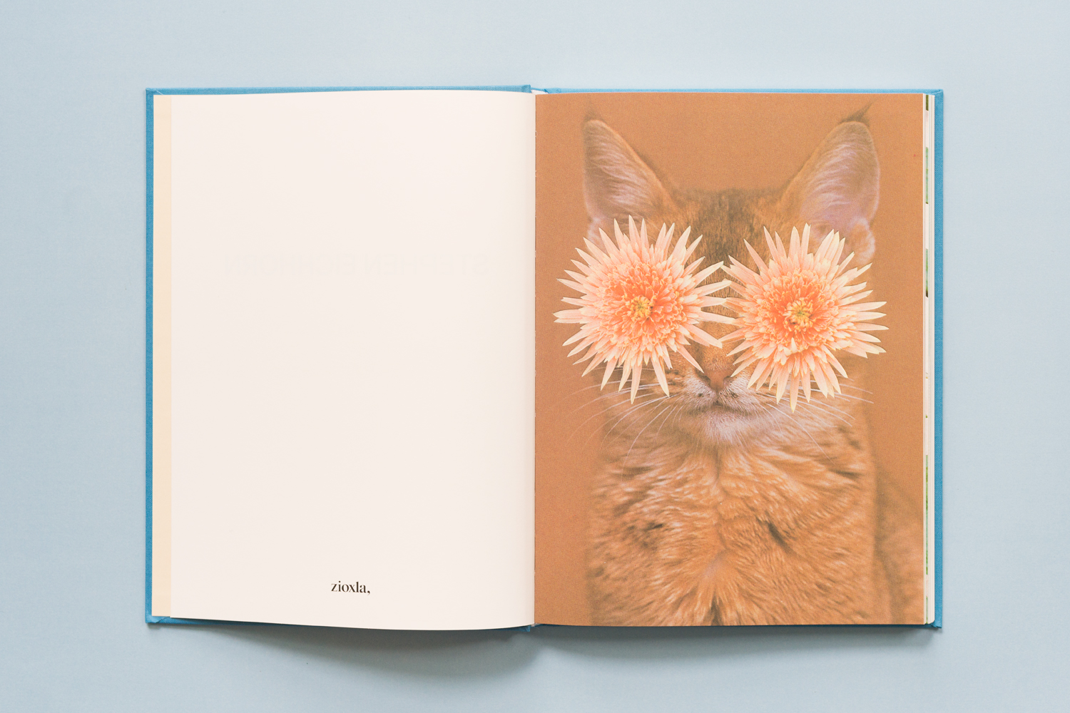 SE-Cats&PlantsBook-2.jpg
