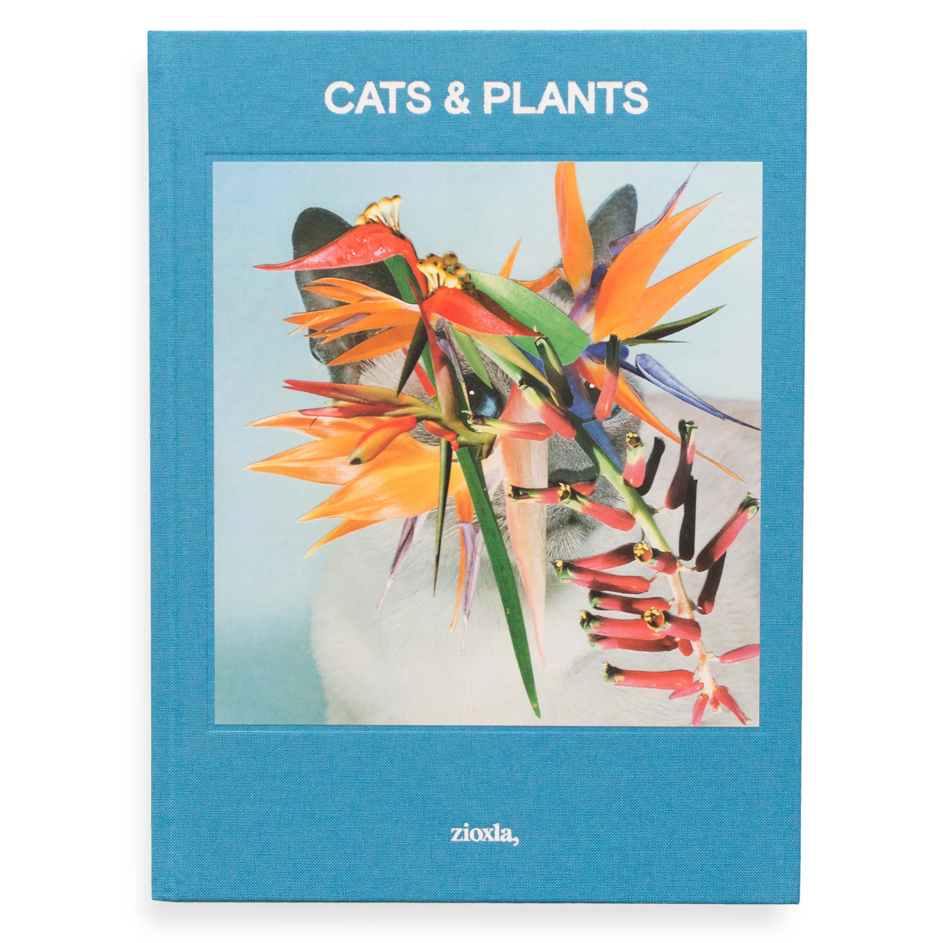 Cats and Plants Book — Cats & Plants