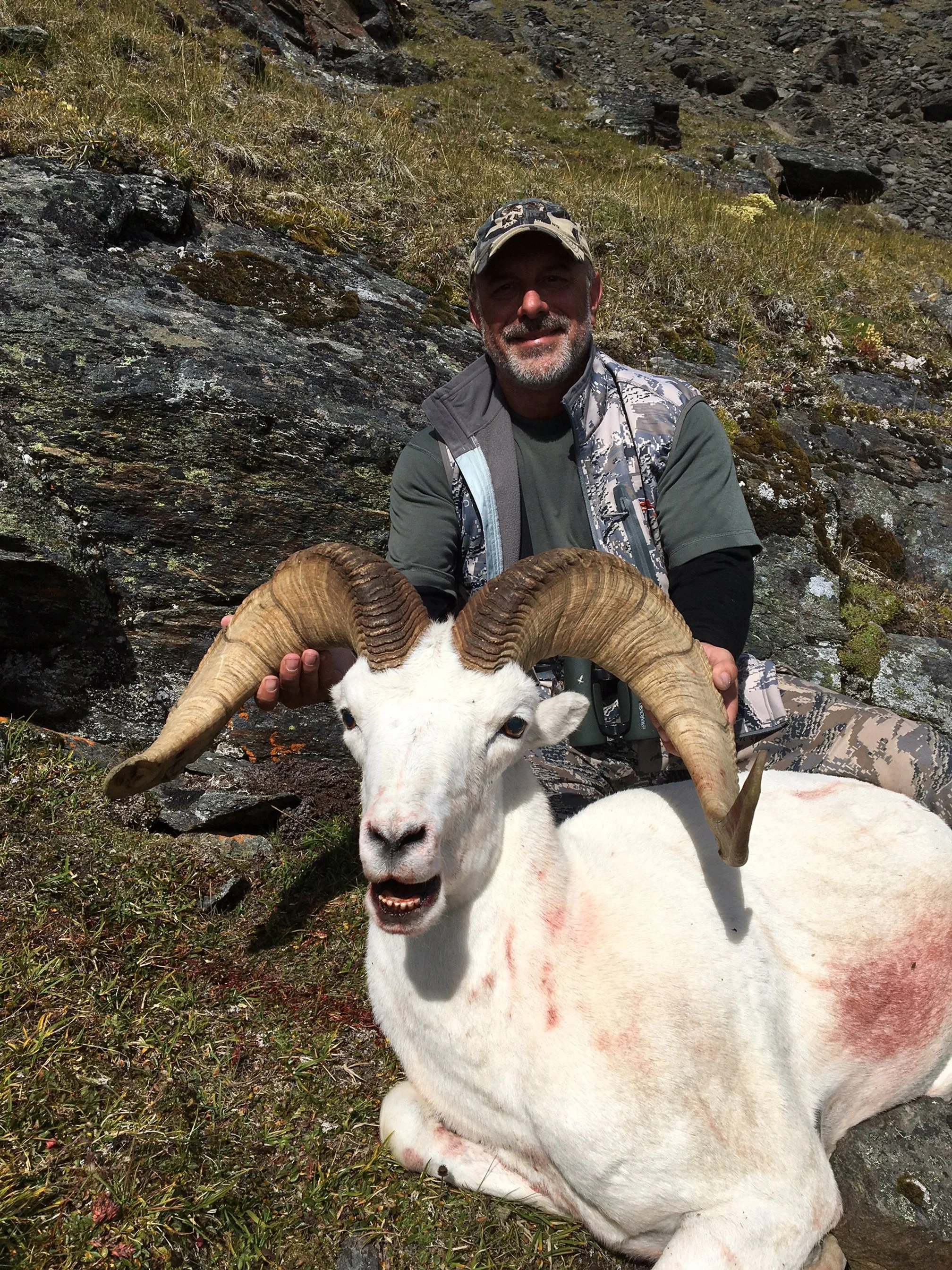 Hunter with snow sheep