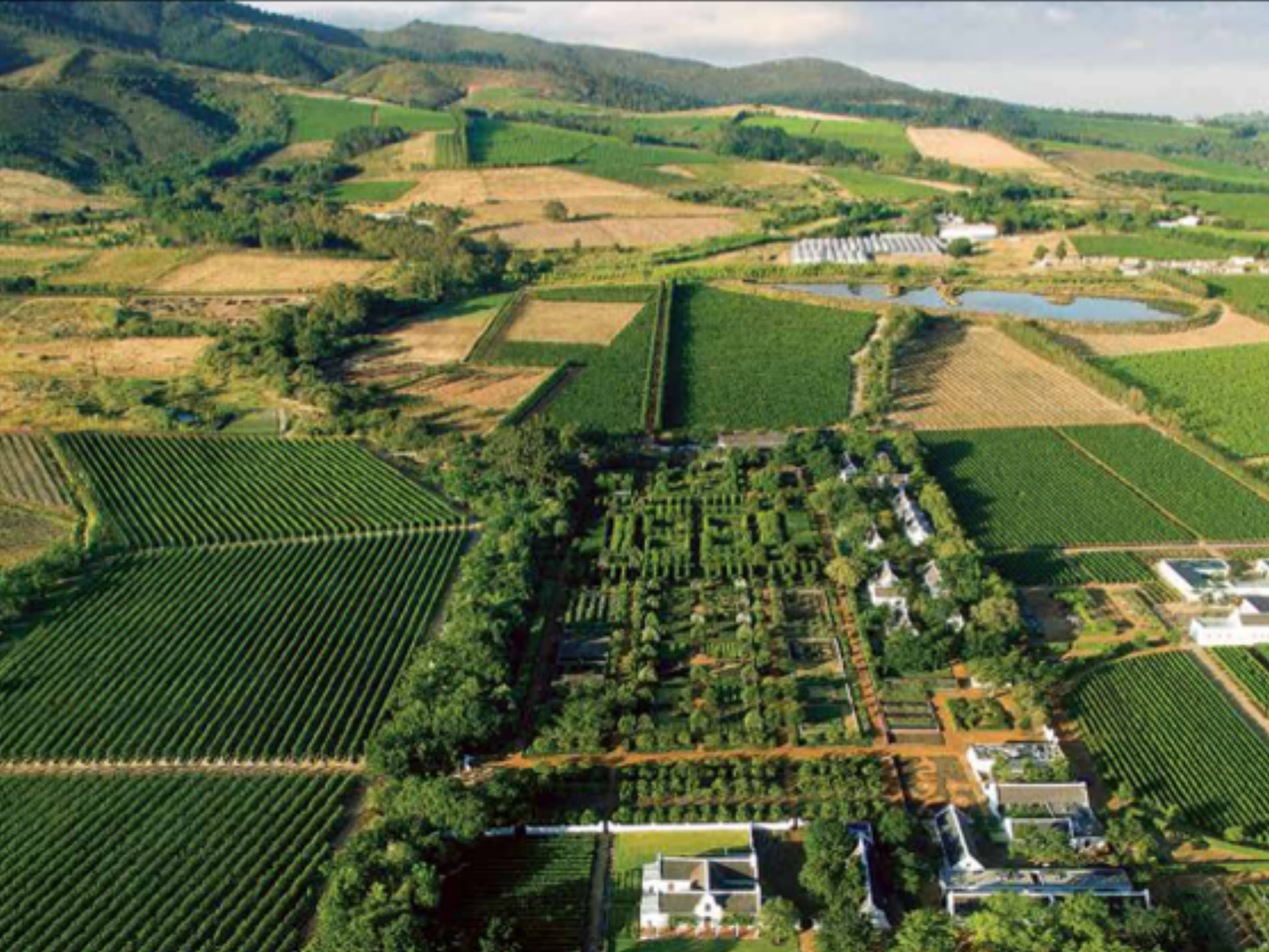 Wine Valley.png