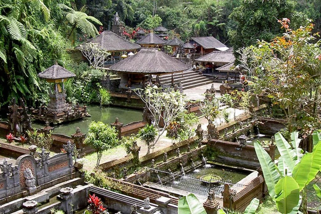 image 5b.jpg