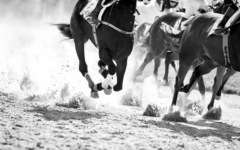 oolsg-private-homes-horse-racing-800-x-500.jpg